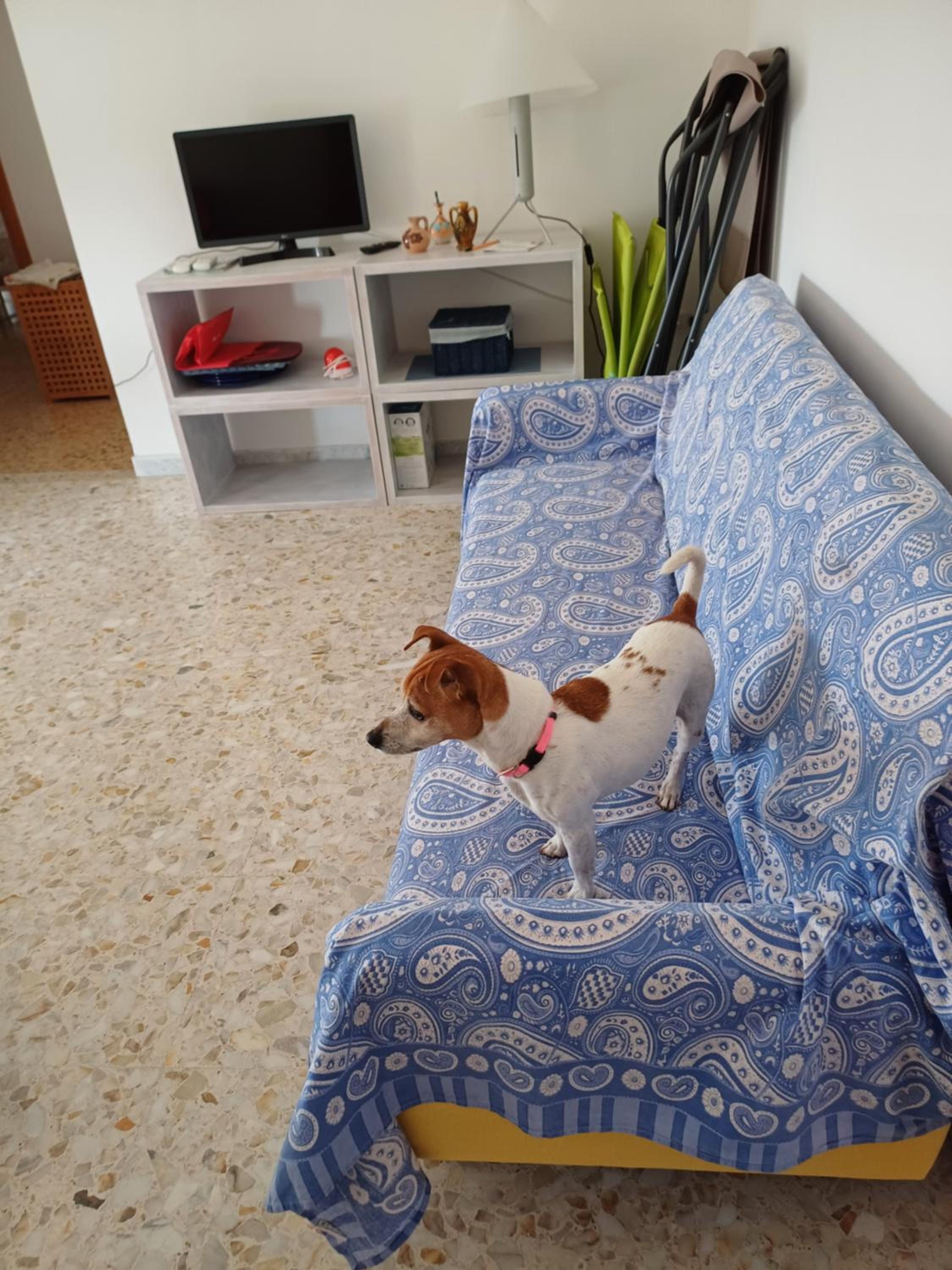 Photo 21
