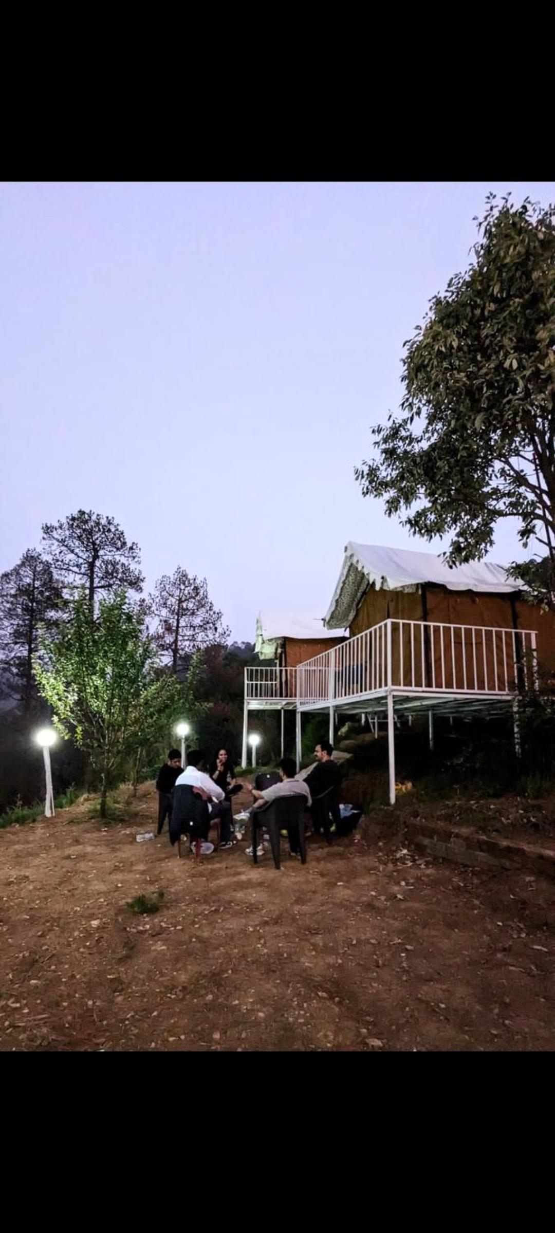 The Pine Camp