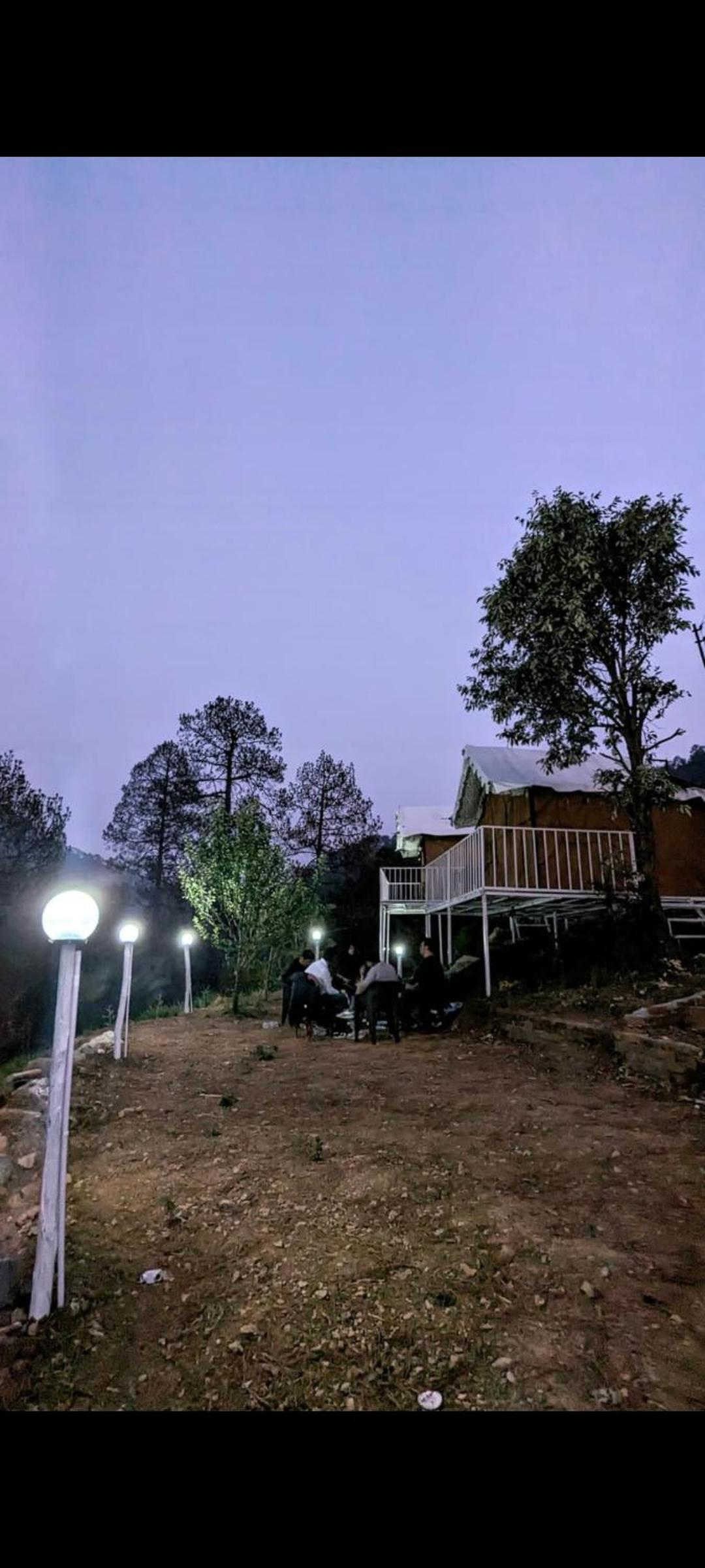 The Pine Camp