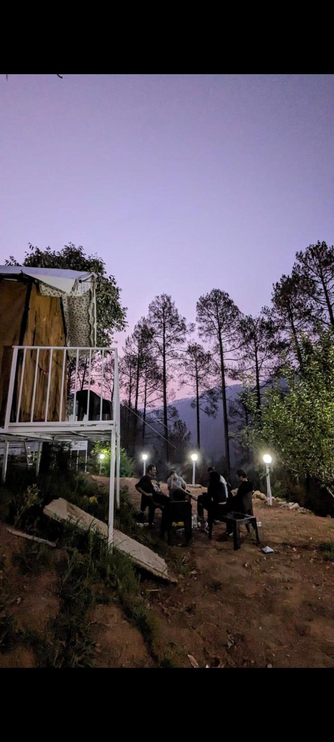 The Pine Camp