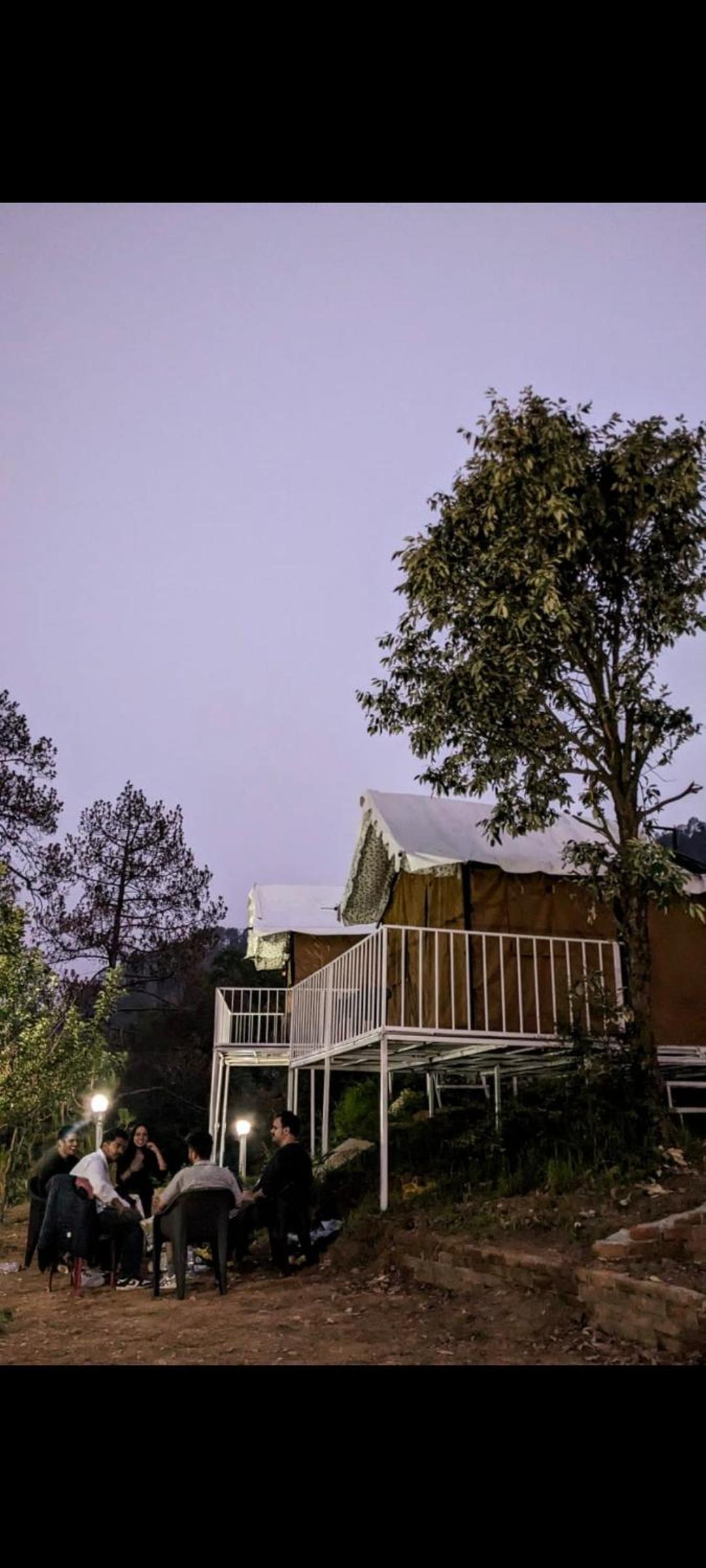 The Pine Camp