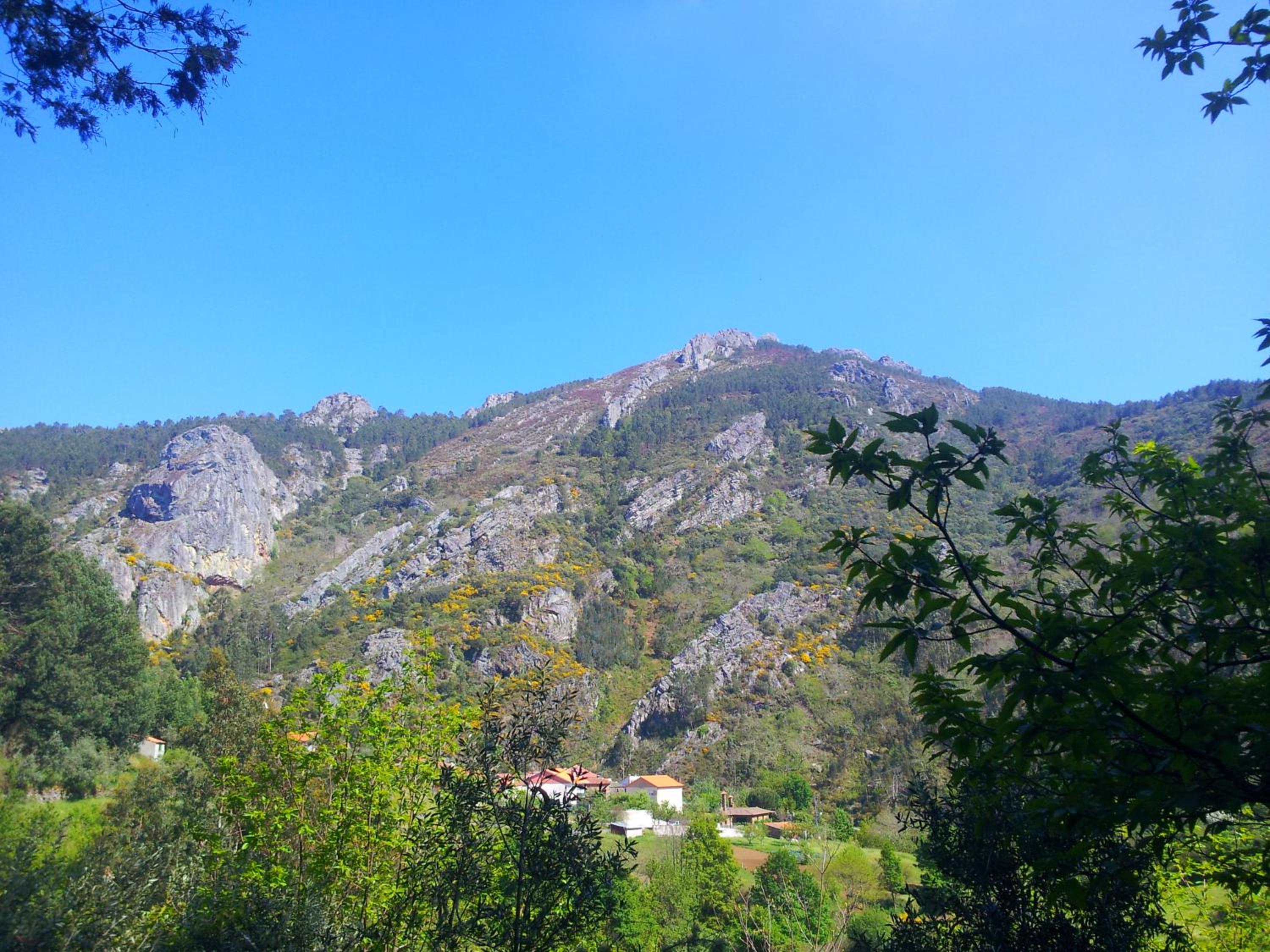 Photo 26