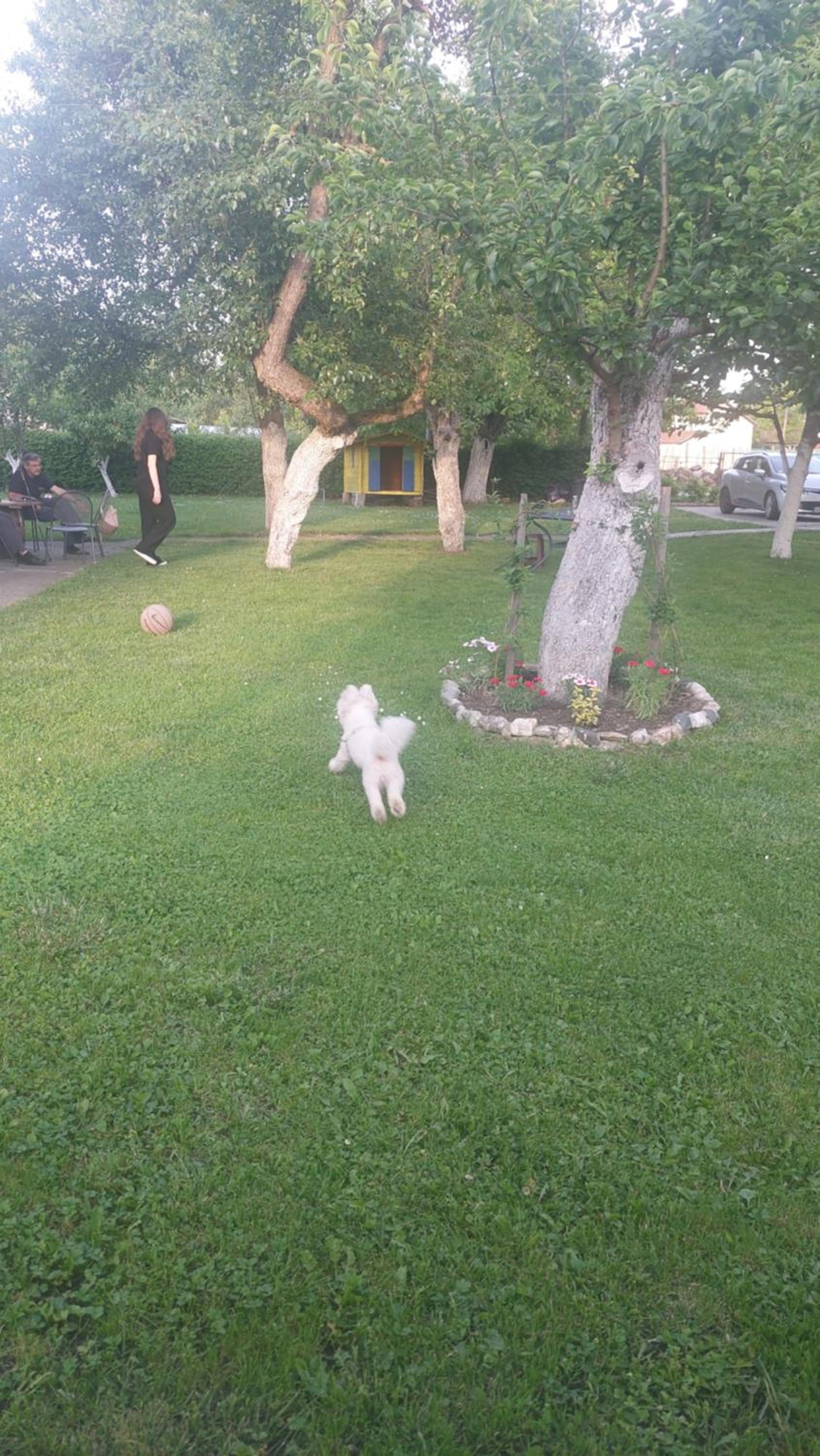 Photo 25