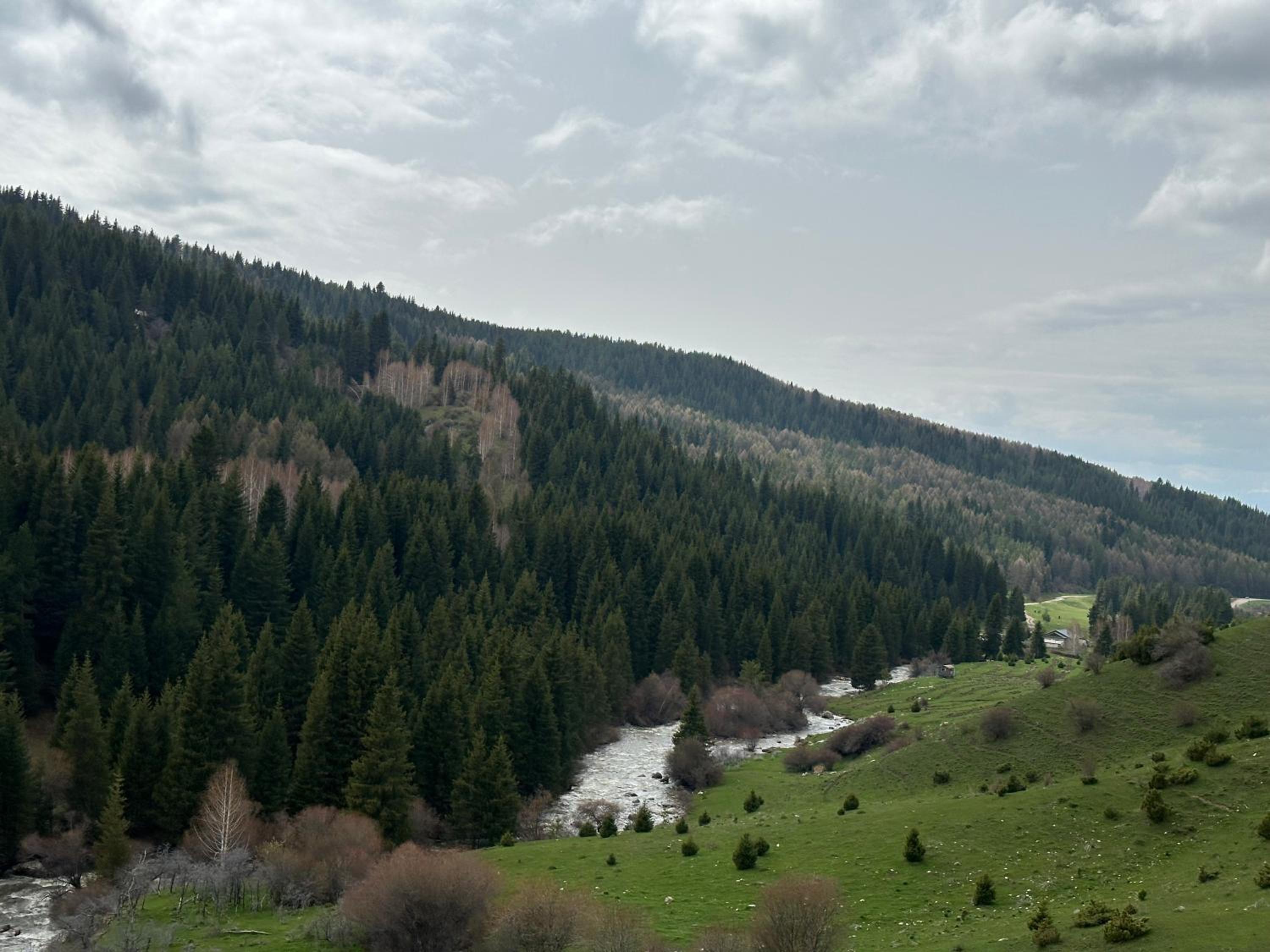 Photo 28