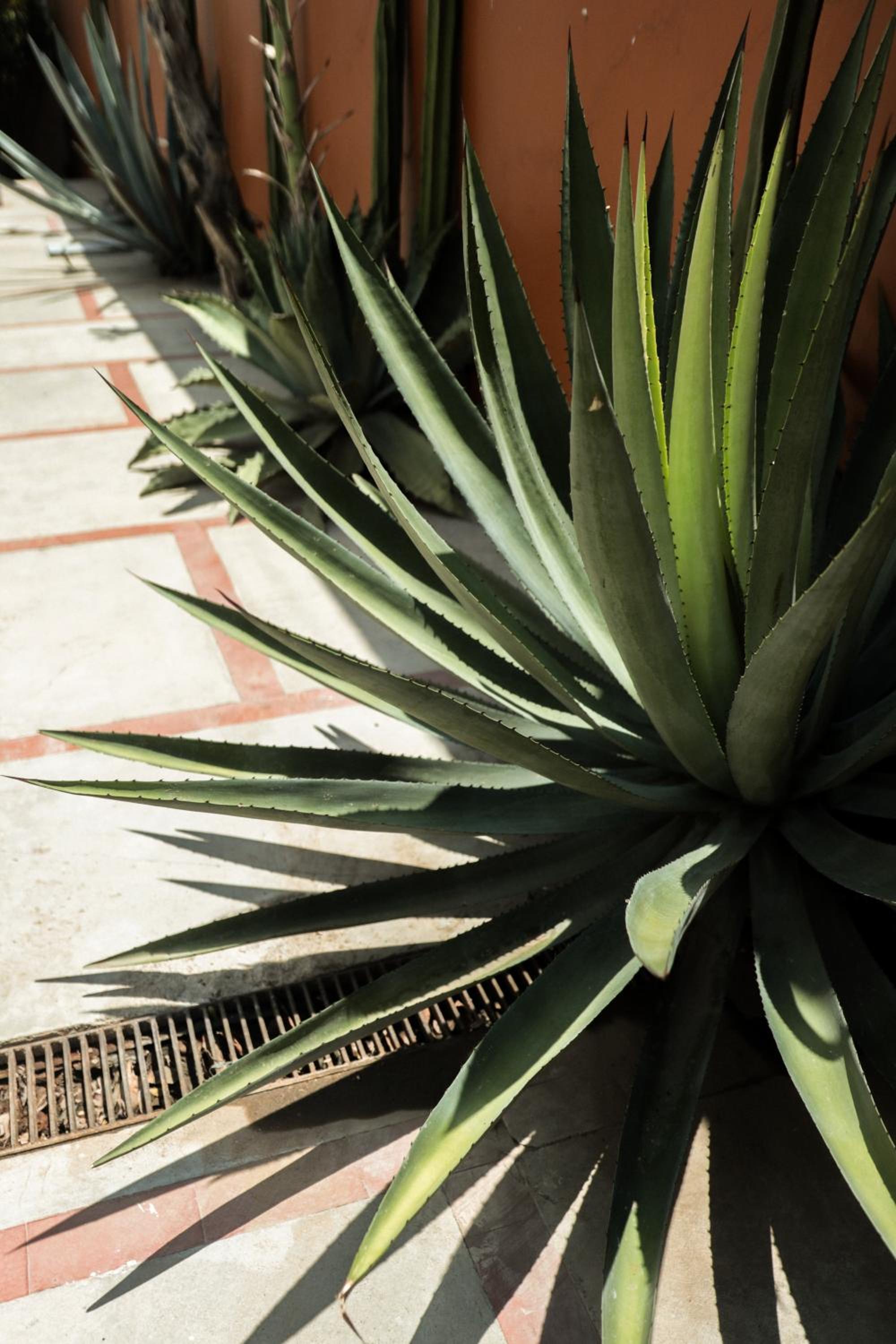 Casa Pina Boutique House with Terrace & Parking