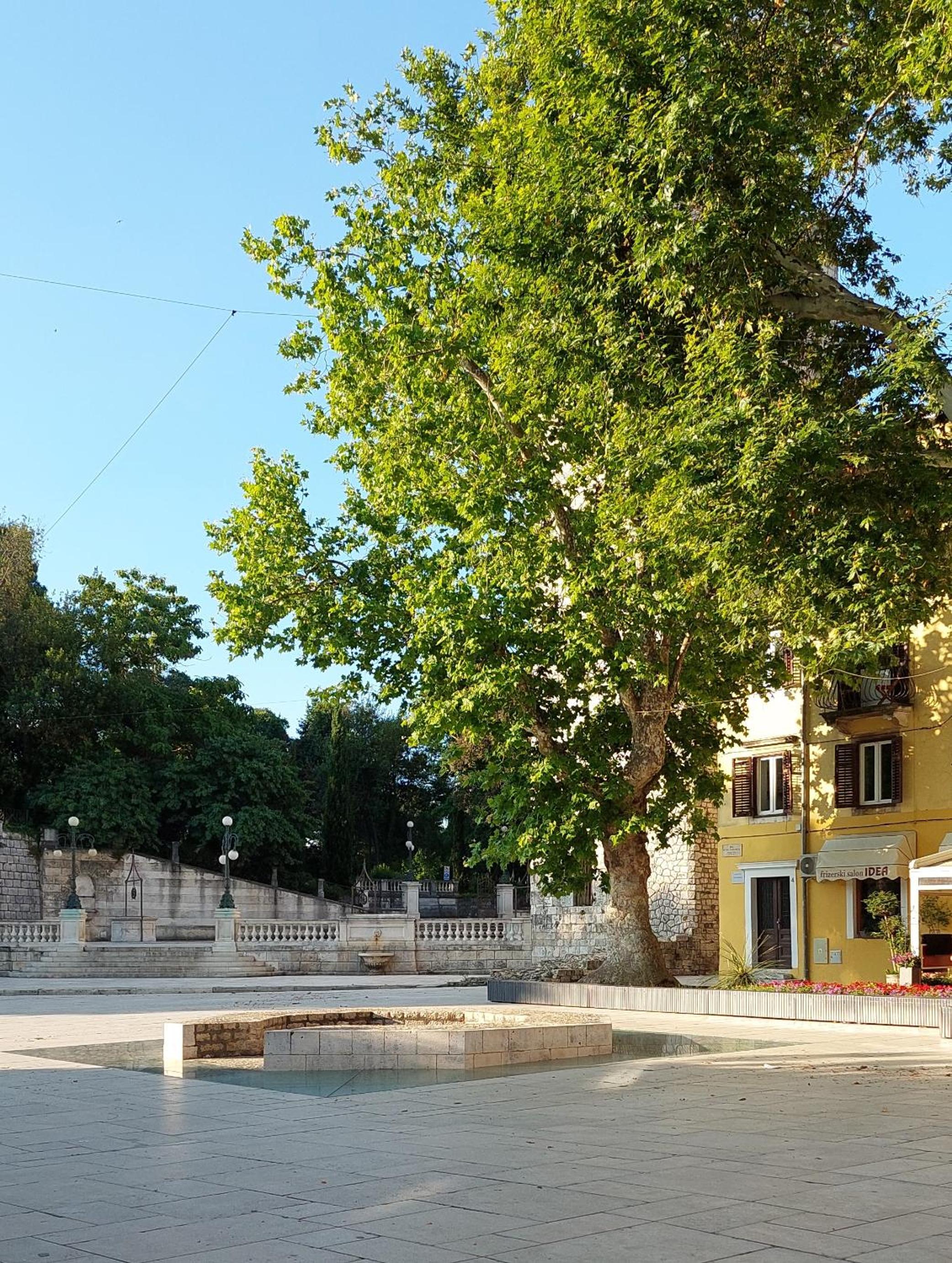Apartment TAZ en Zadar