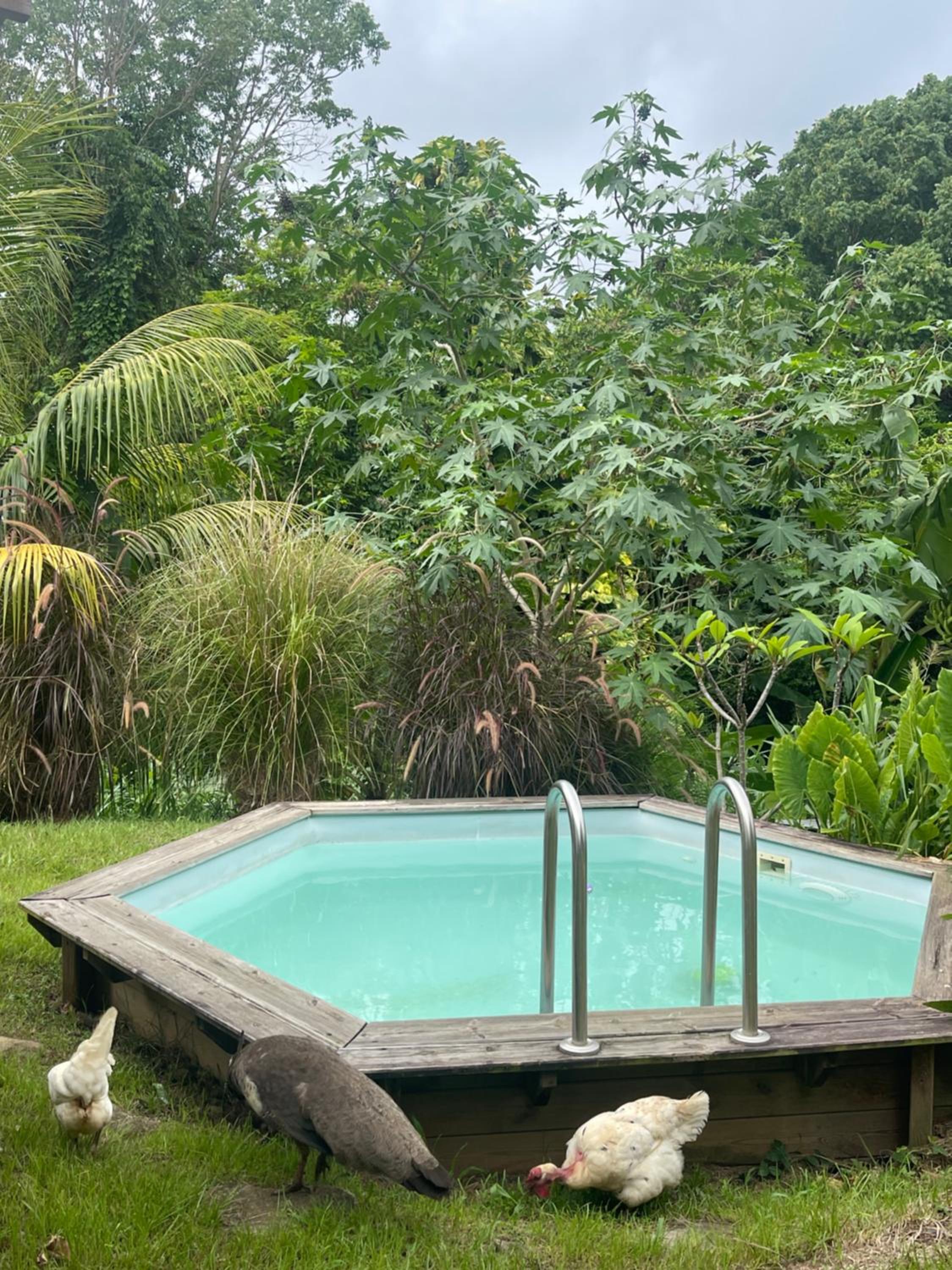 Villa Kayooli