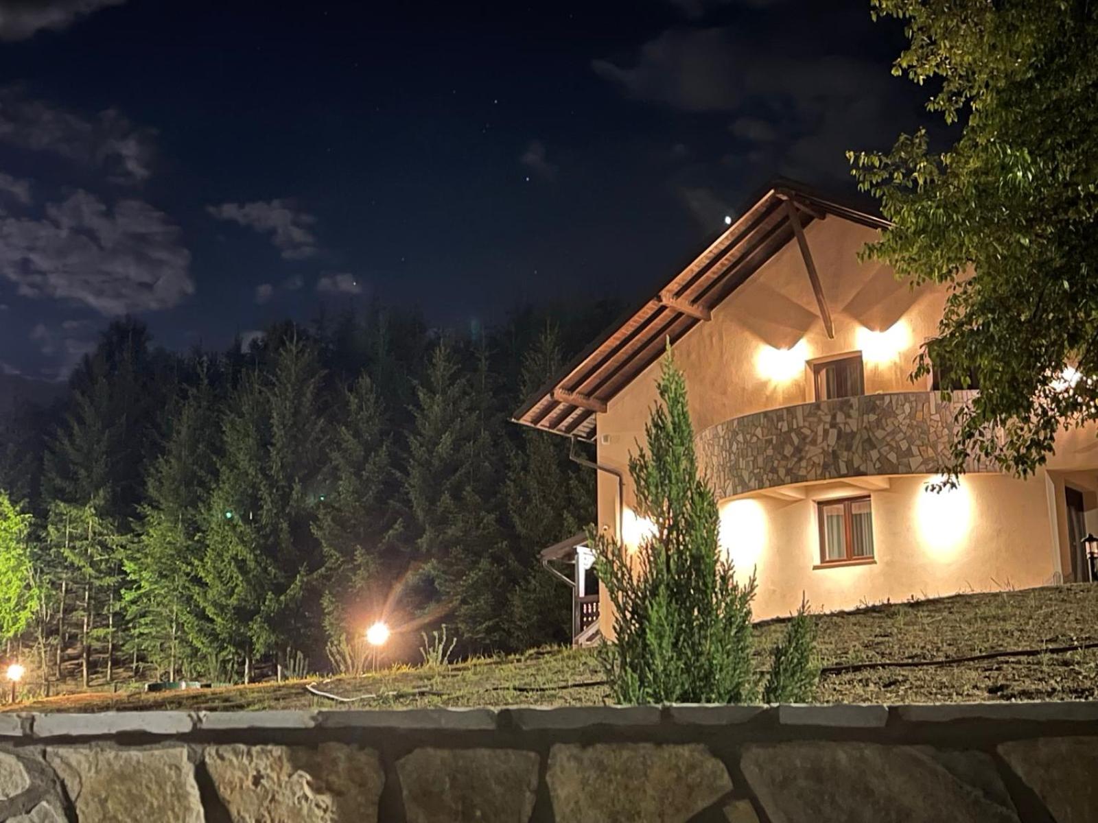 Hanul cu Brazi view 2