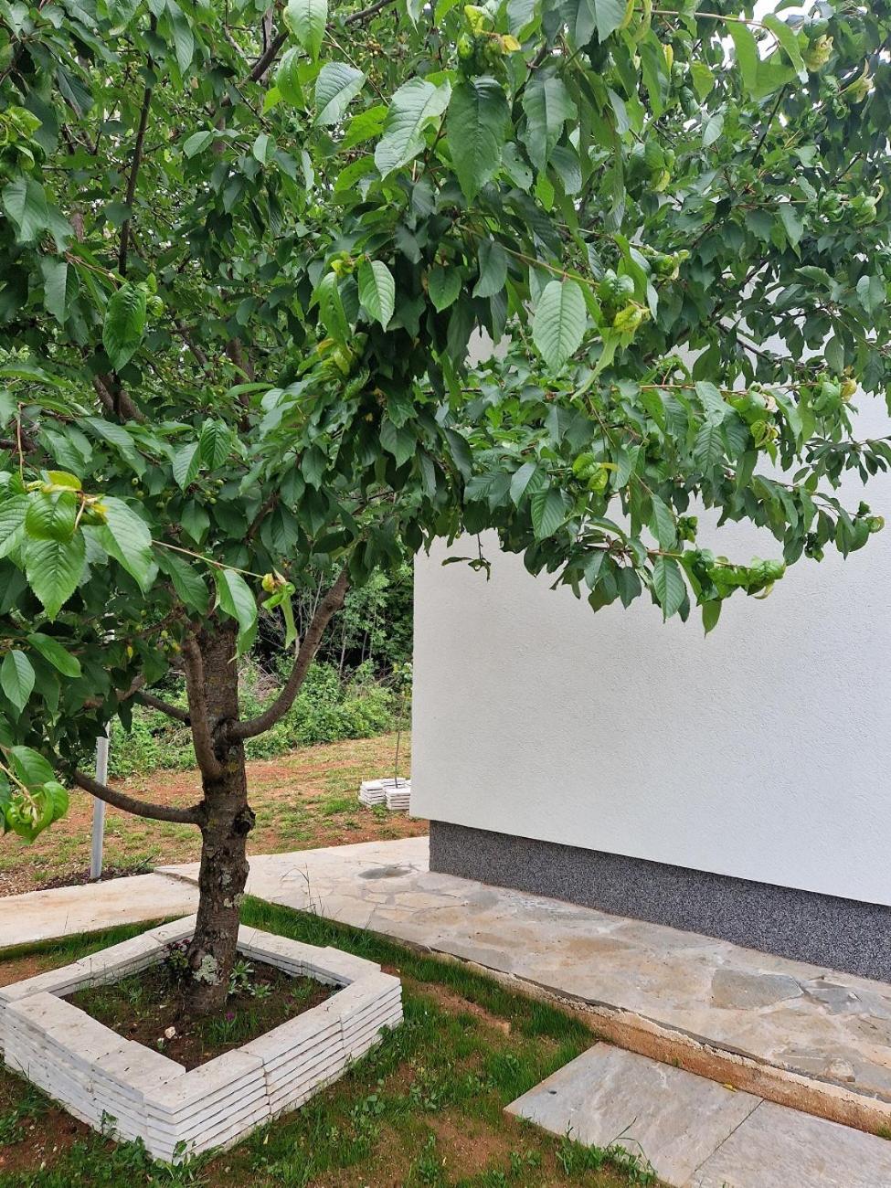 Villa DE Luna Istra,whirlpool view 4
