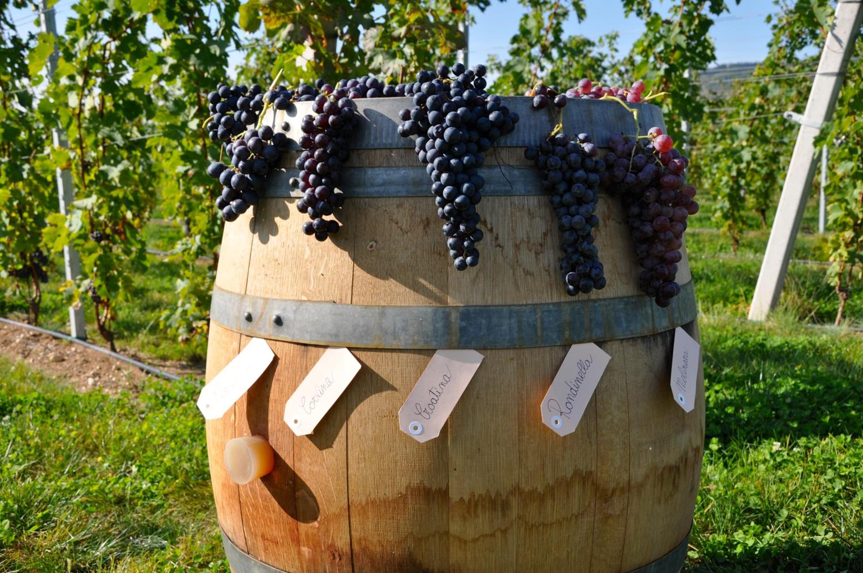 Agriturismo Corte Moranda