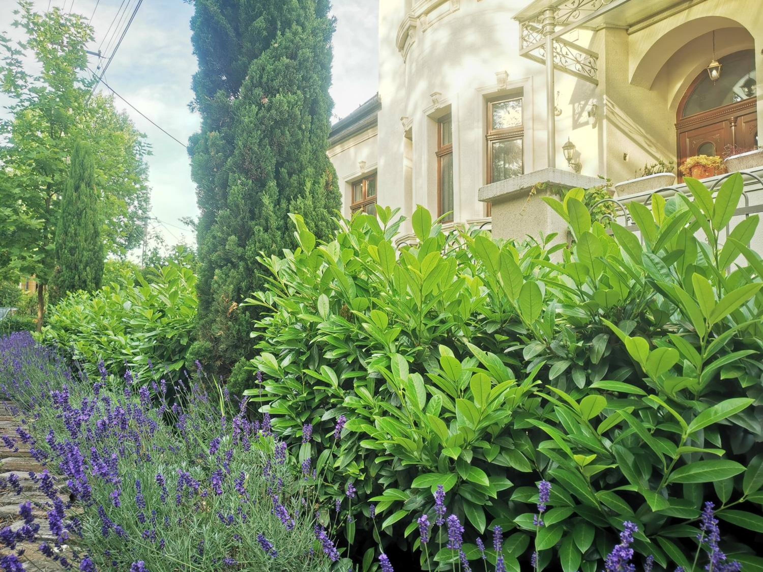 Photo 23
