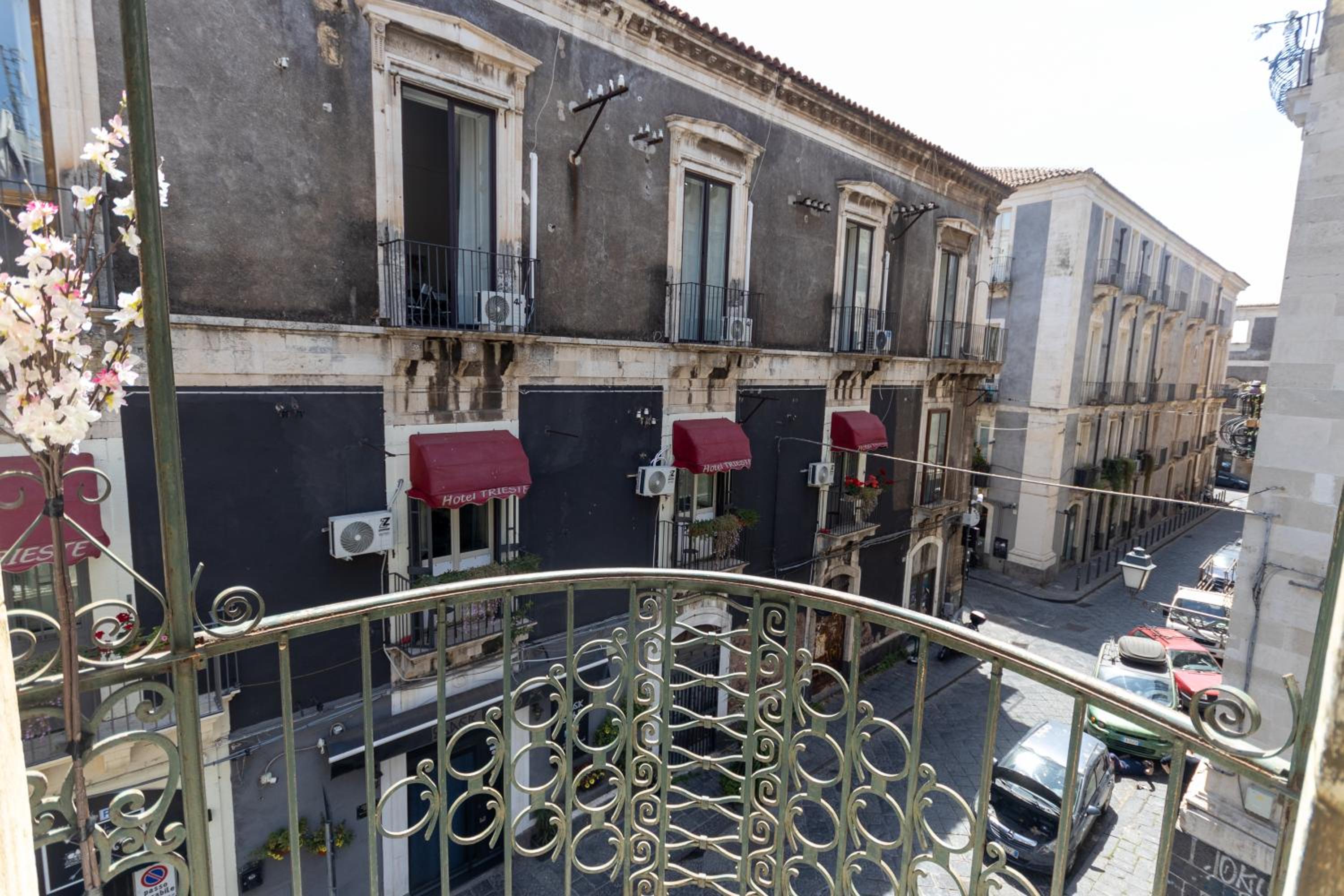 Bellini Theater Palace photo 3