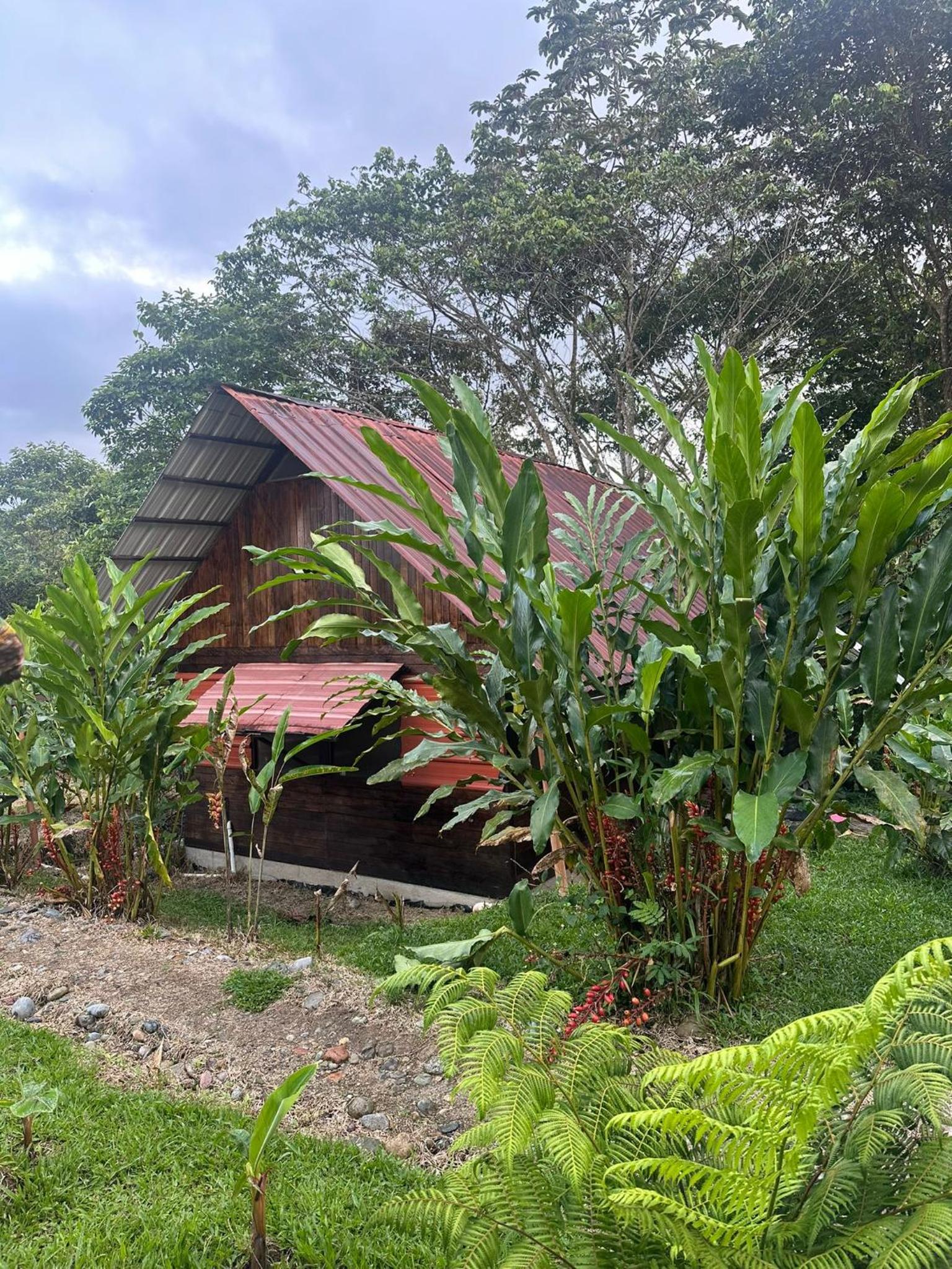 Kayak Hostel Ecuador