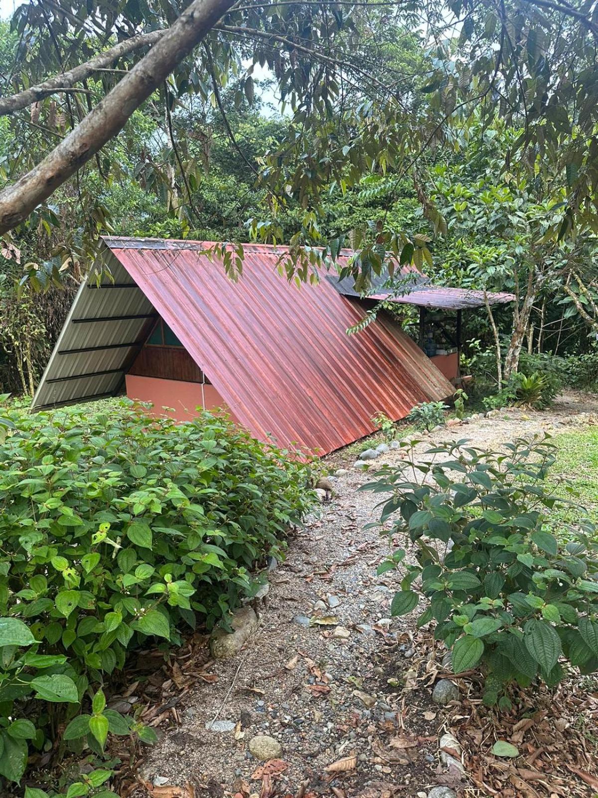Kayak Hostel Ecuador