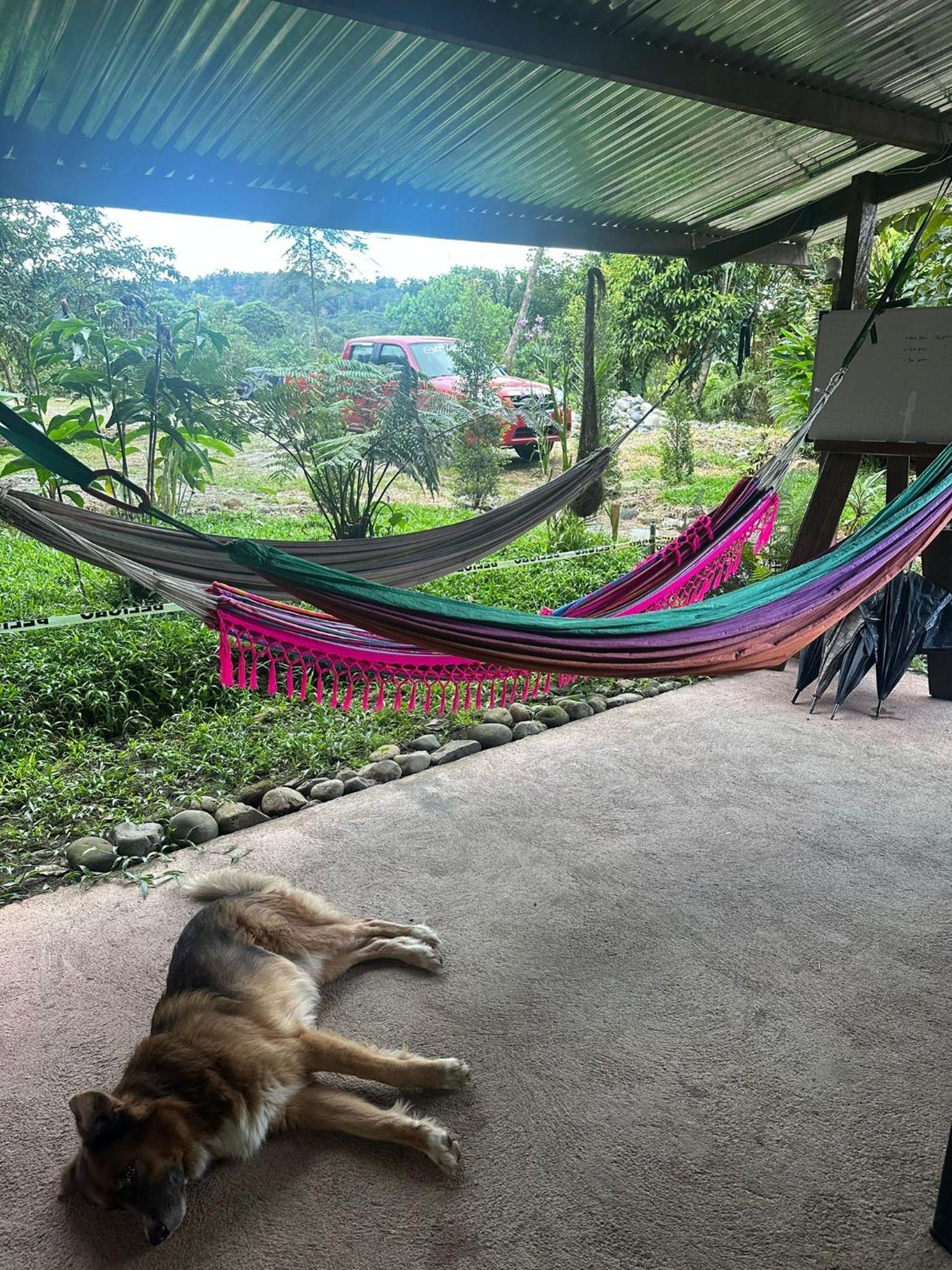 Kayak Hostel Ecuador