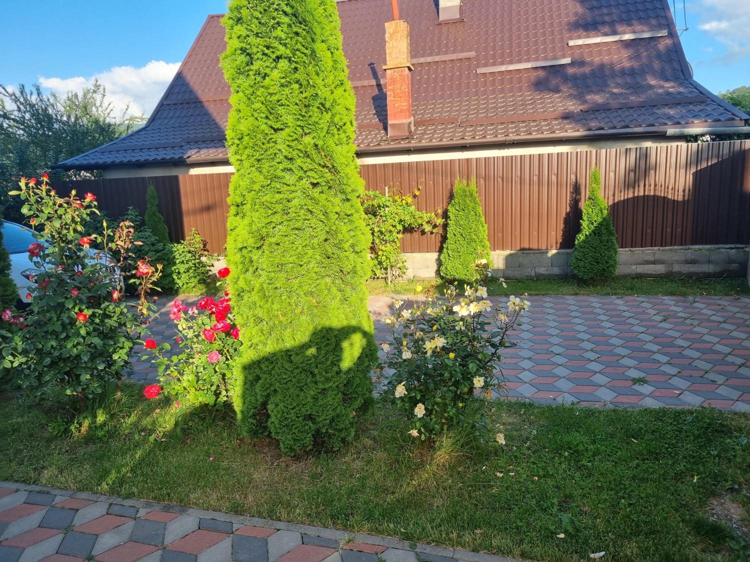 Photo 8