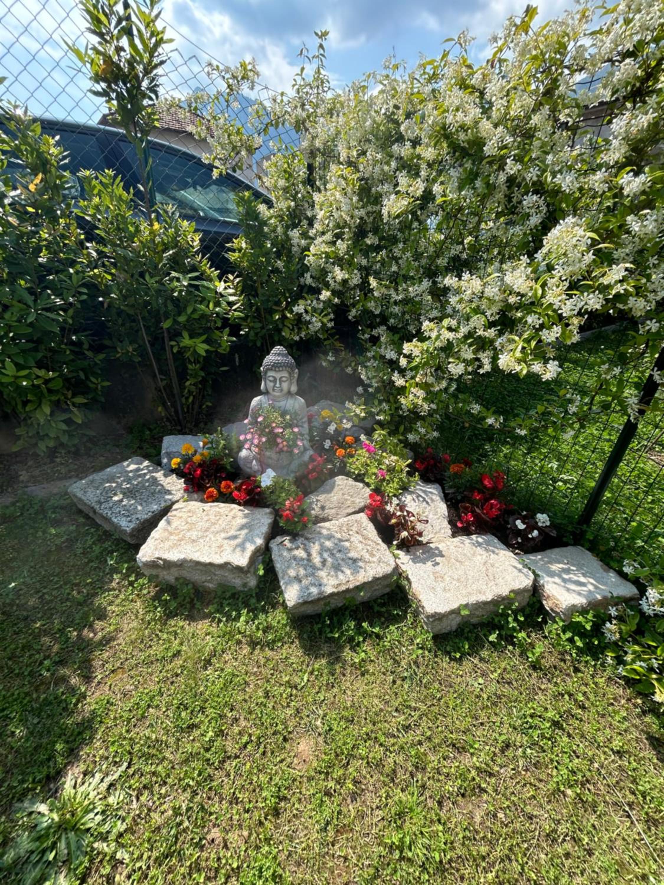 Photo 53