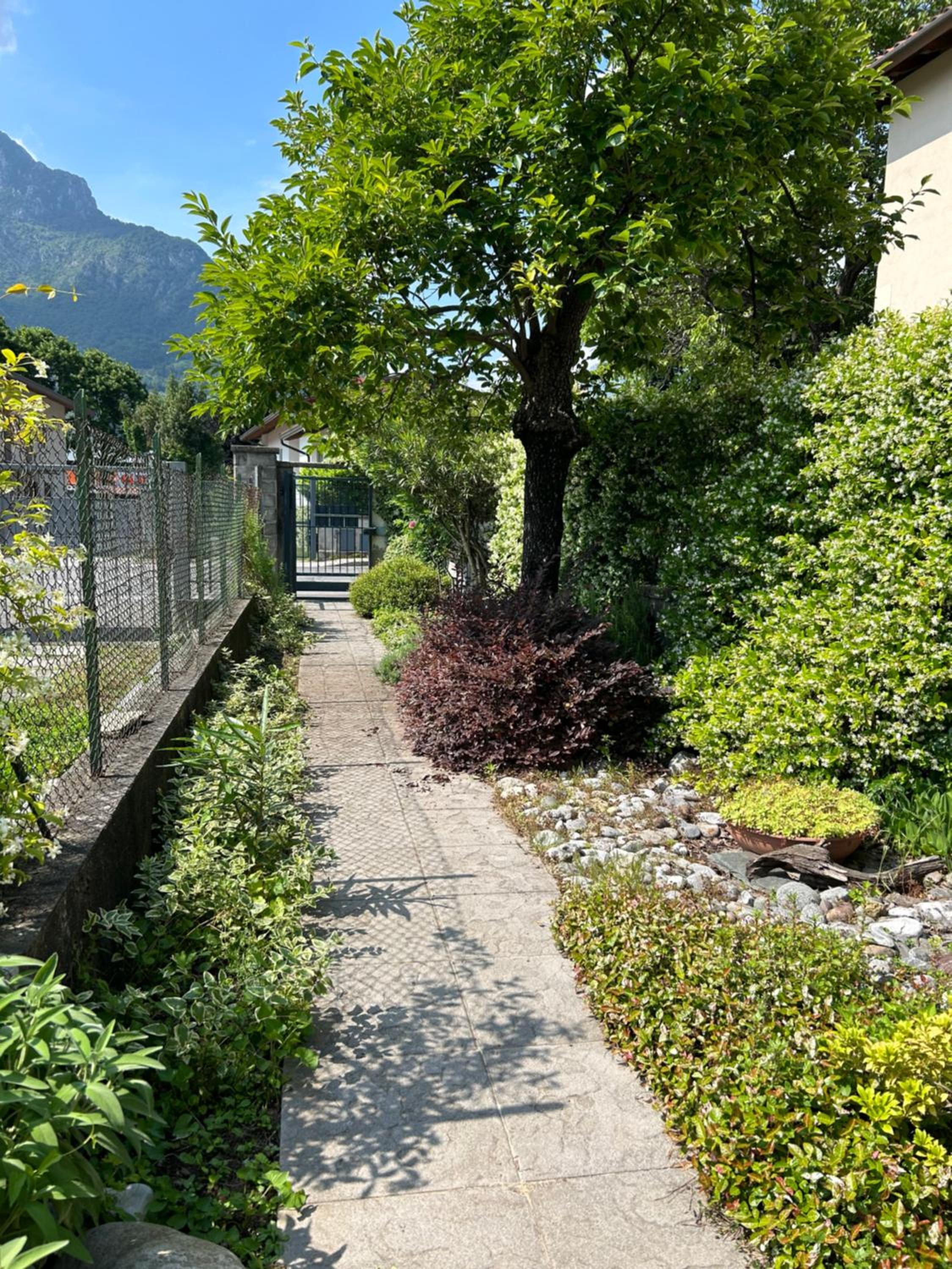 Photo 42