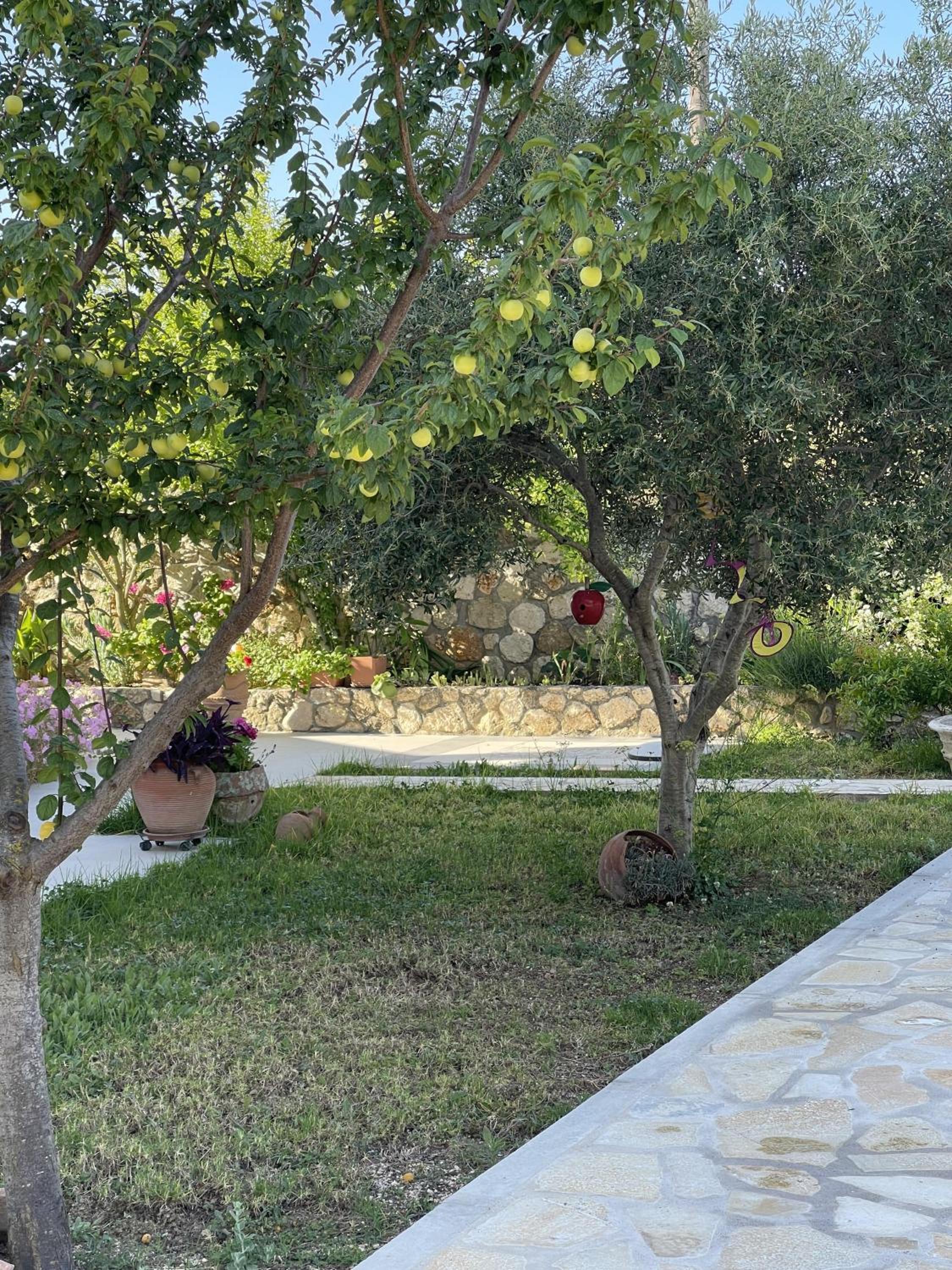 Photo 22