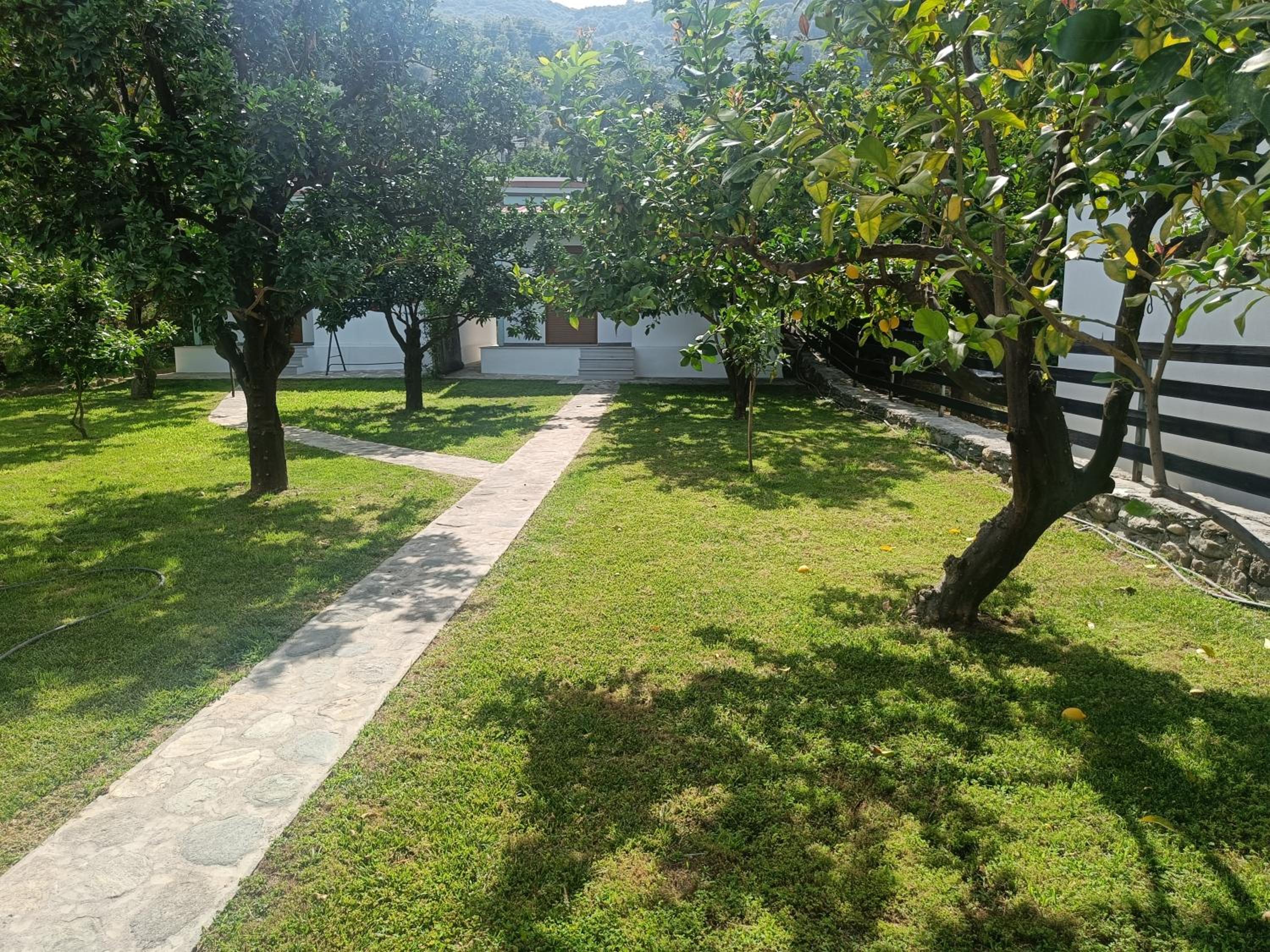 Photo 15