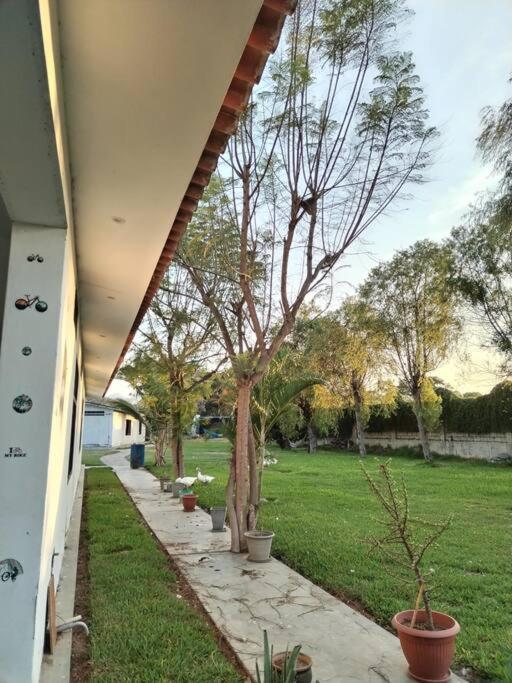 Casa de Campo en Conache GANDY view 5