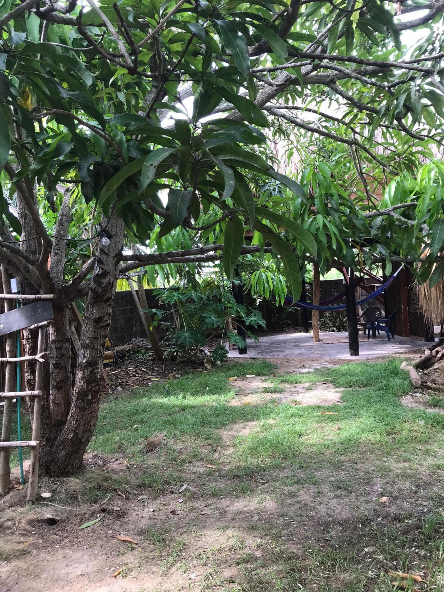 Hostel Nugeku