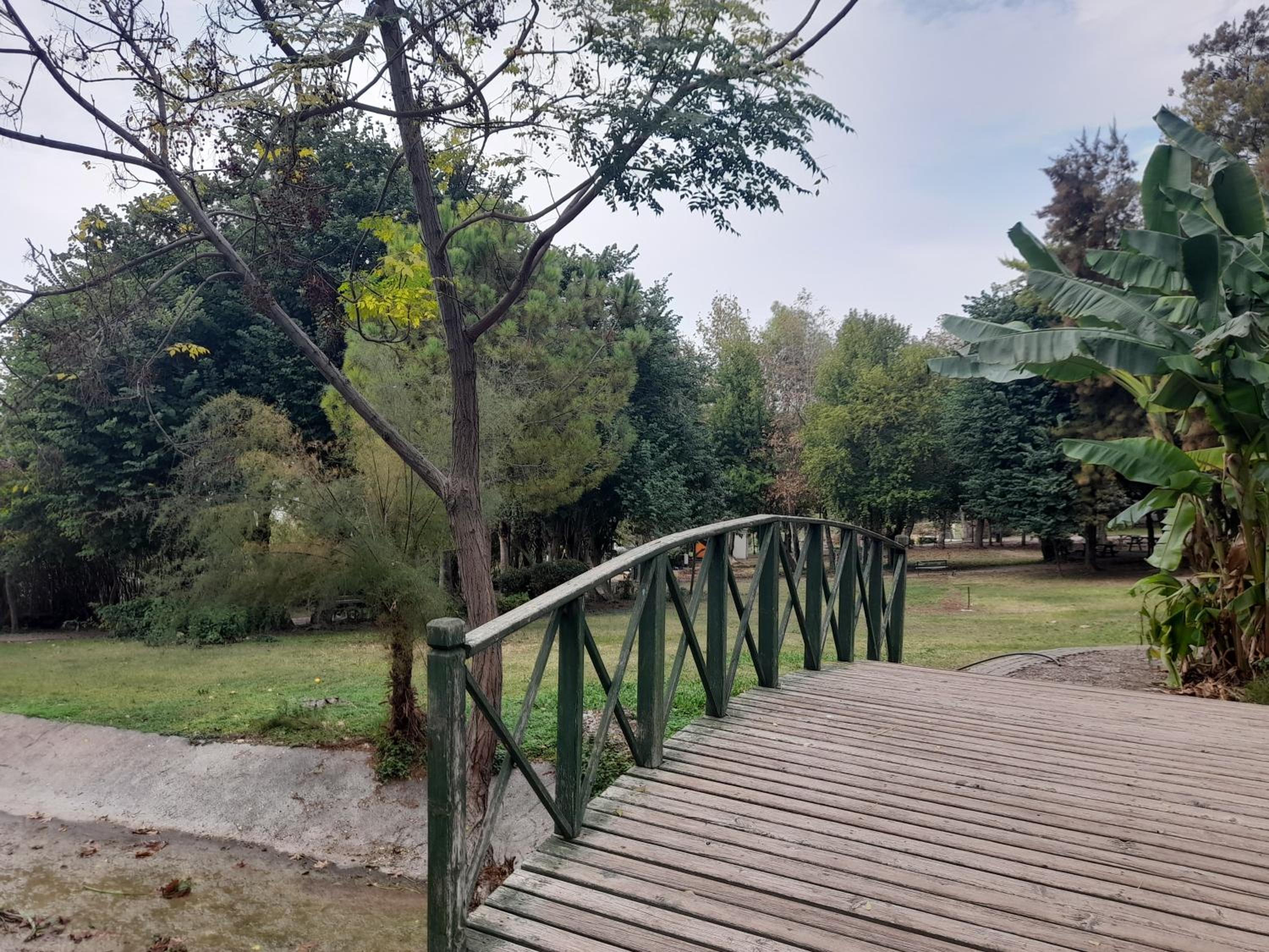 Apartment close to the sea in the most central of city