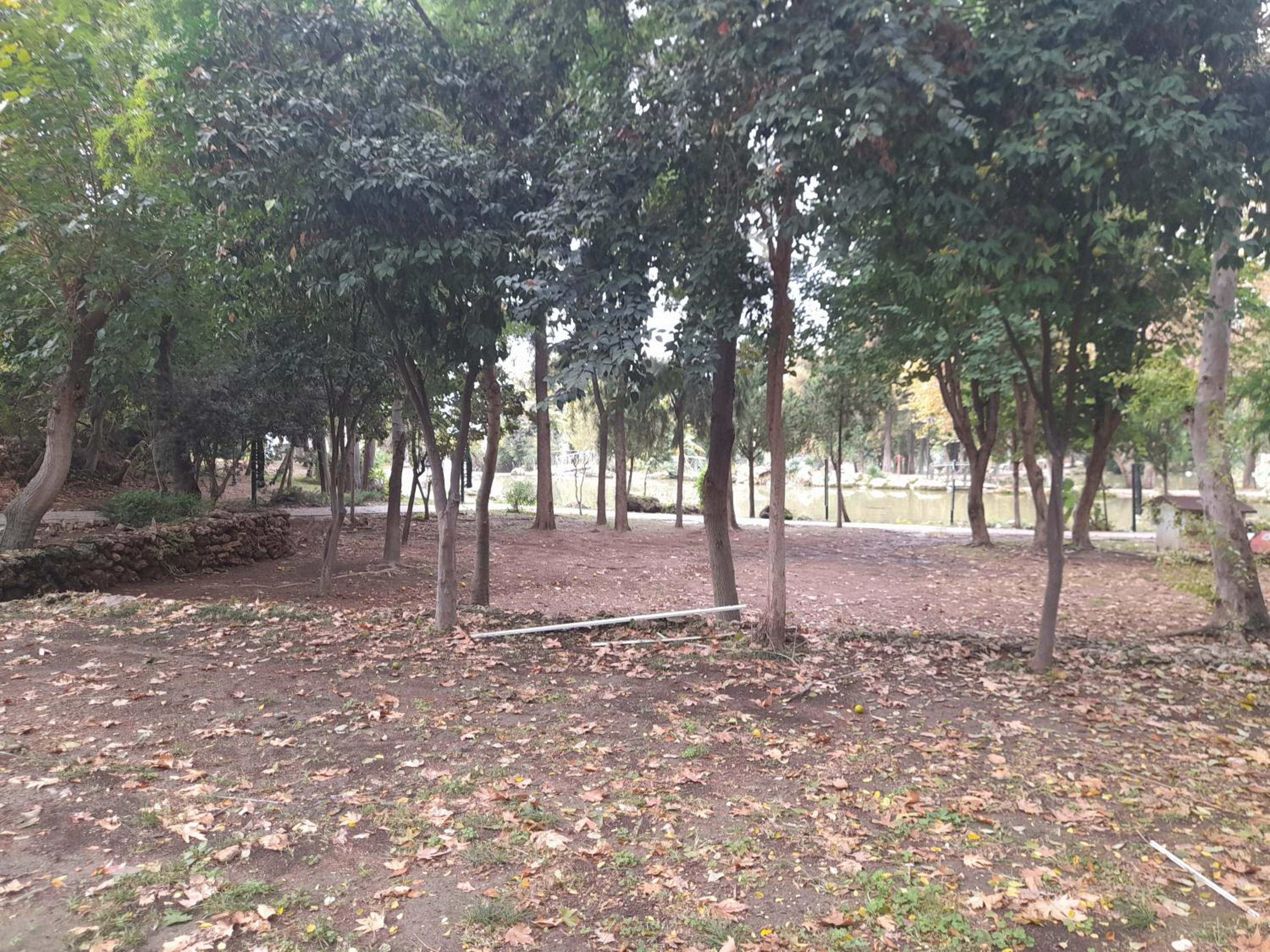 Apartment close to the sea in the most central of city