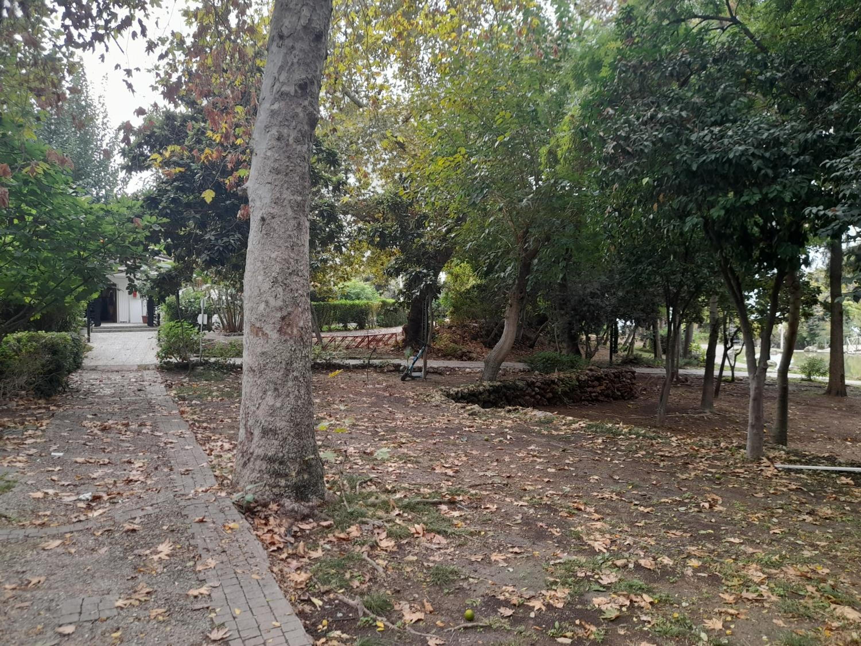 Apartment close to the sea in the most central of city