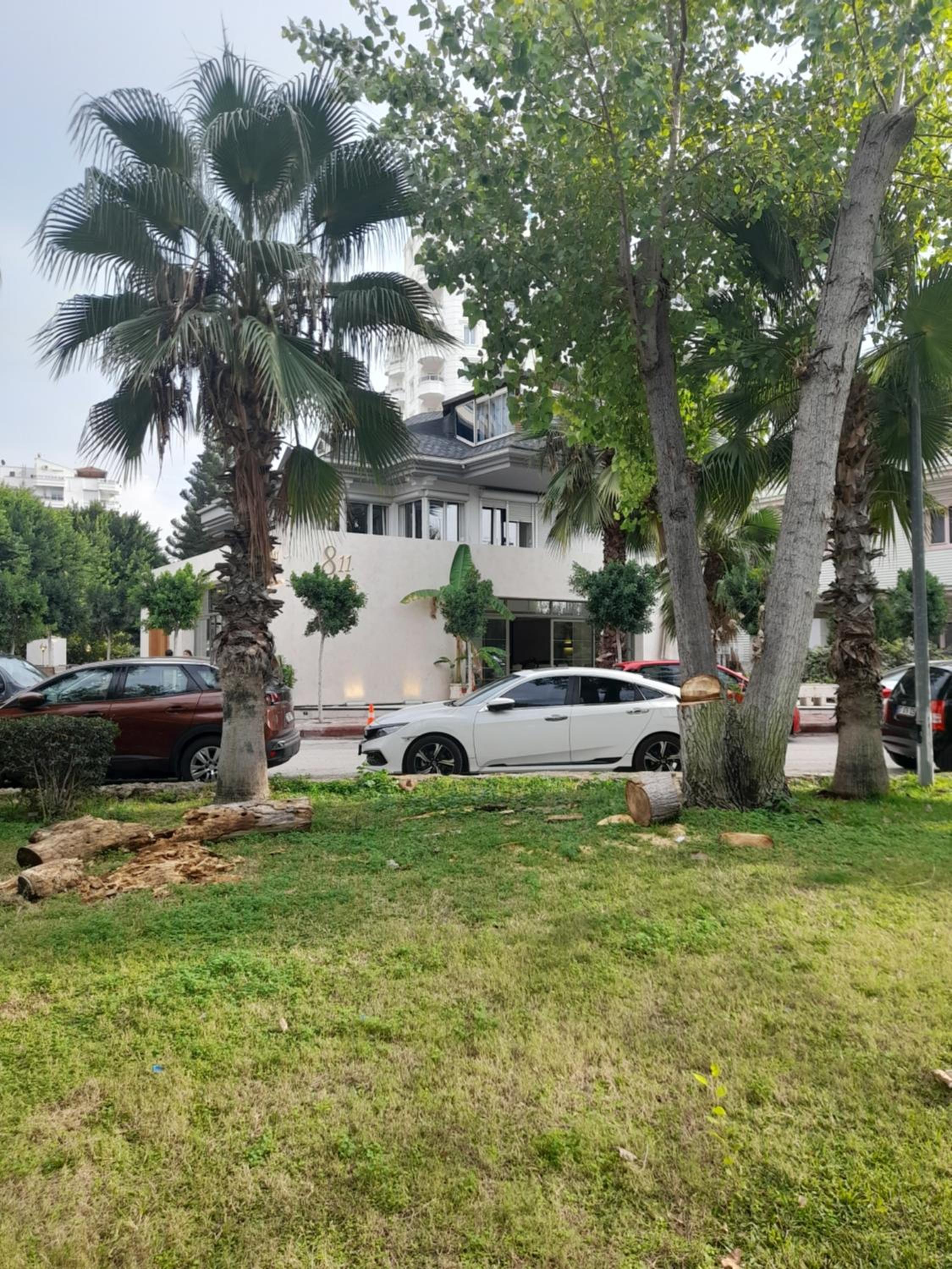 Apartment close to the sea in the most central of city