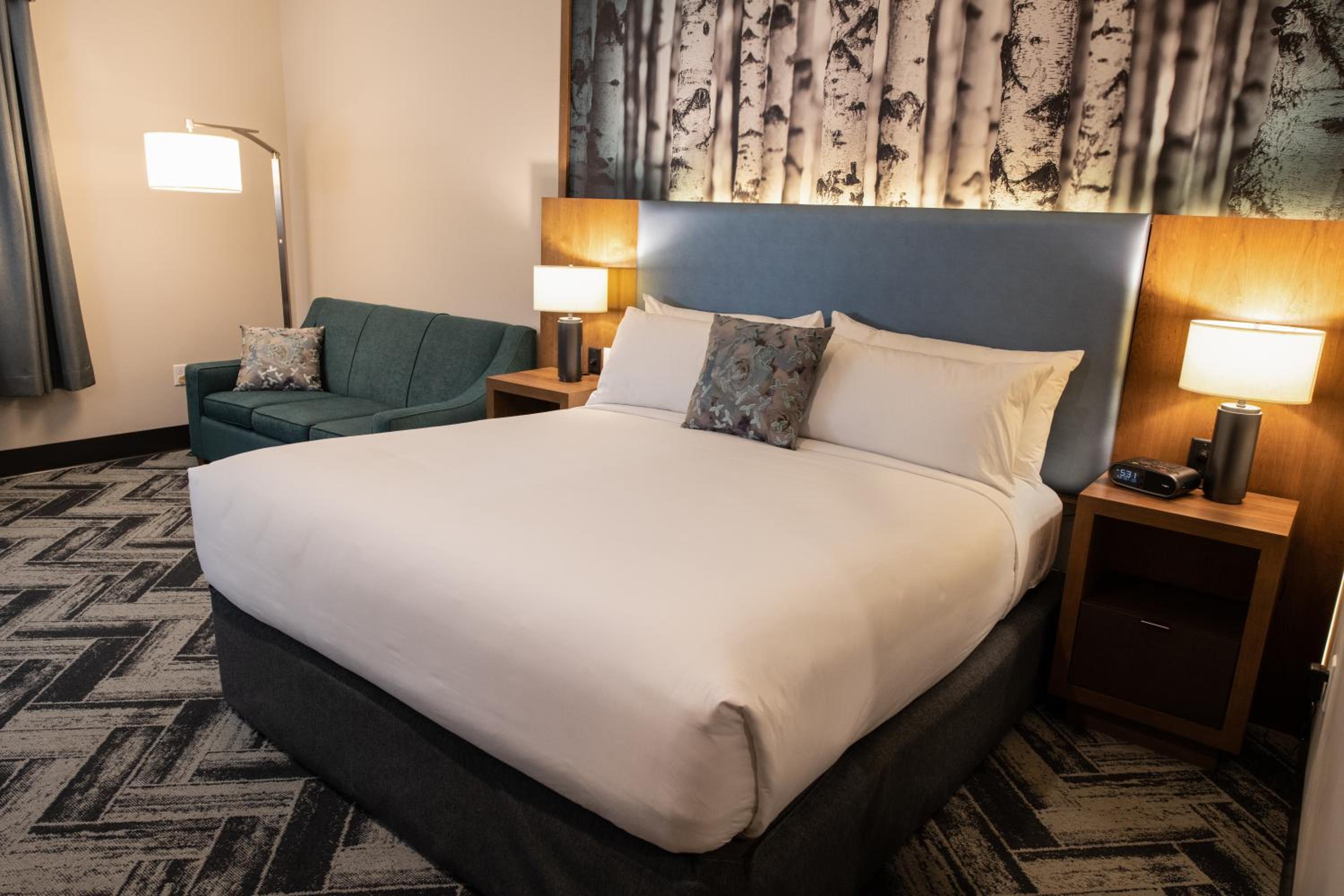 The Alder view 5