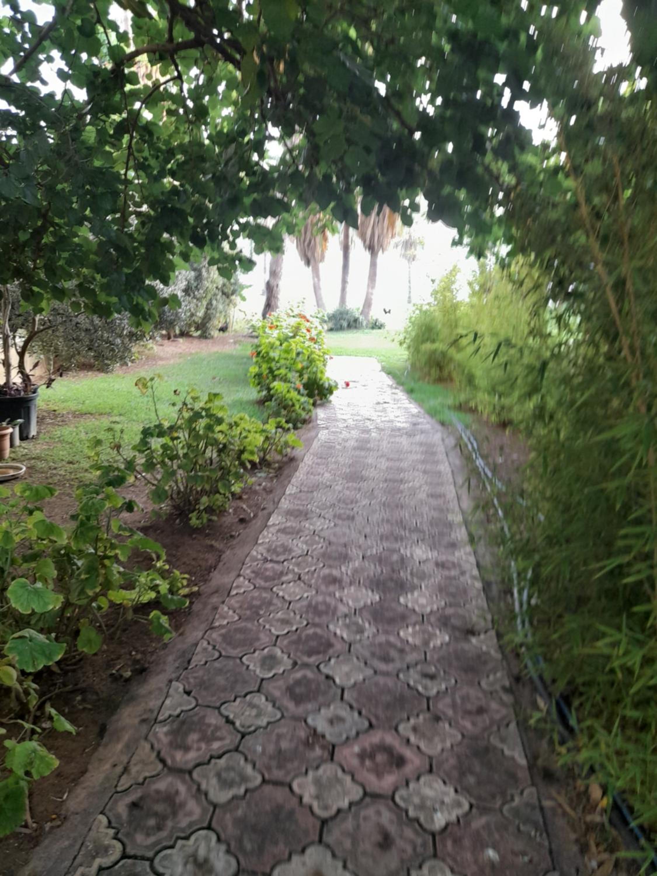 Apartment close to the sea in the most central of city