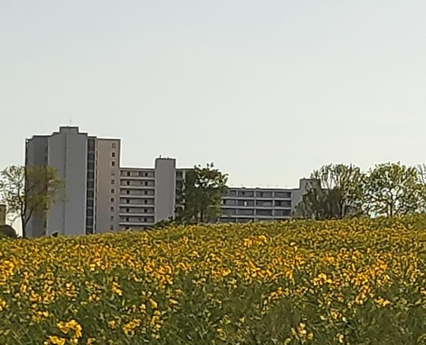 Ferienwohnung mit Ostseeblick & Strandlage