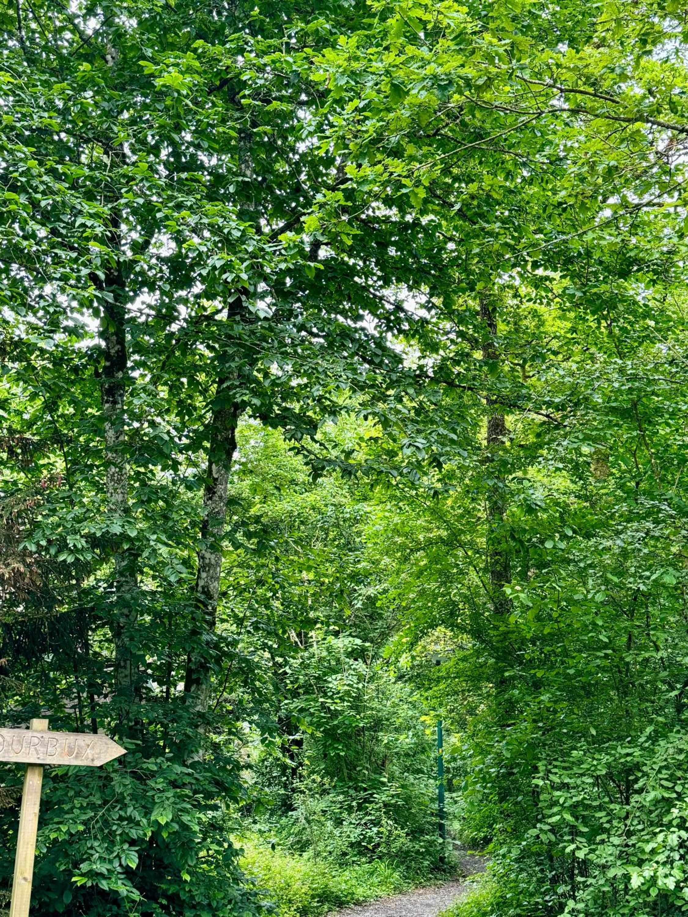 Barbuy - Natuurhuisje in Durbuy - Bar - Zwem - Ontspan