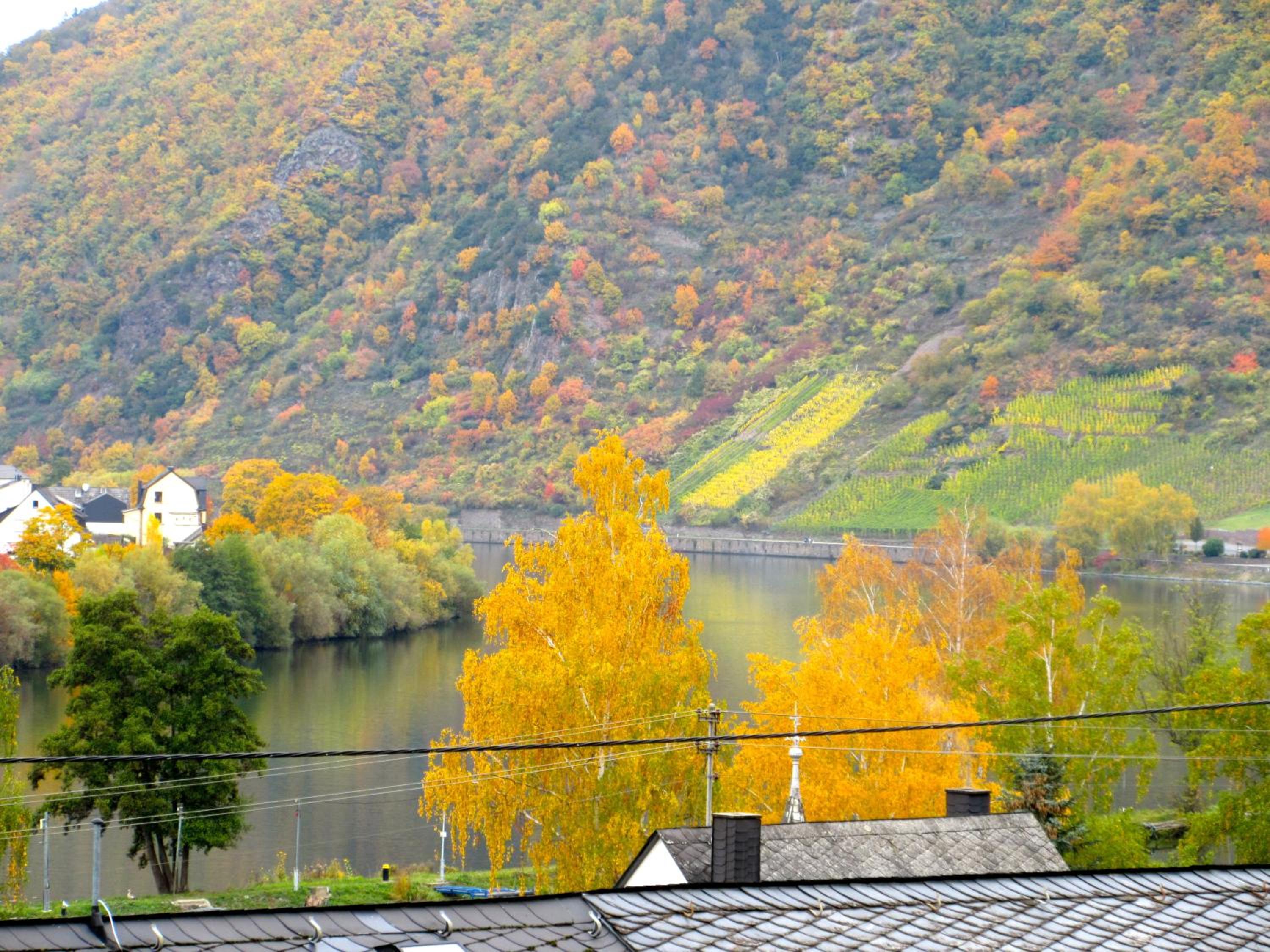 Moselschön Das Ferienhaus view 3