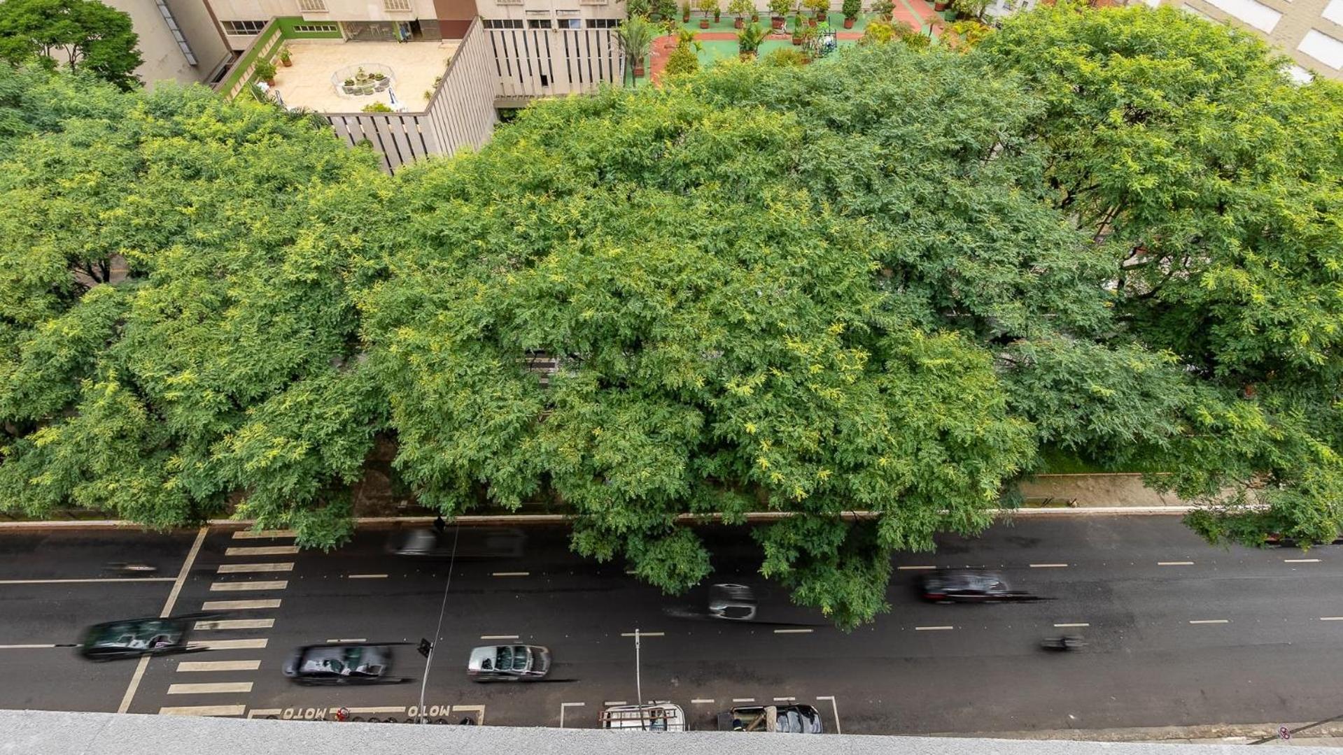 Studios modernos na Consolação, perto da Avenida Paulista.