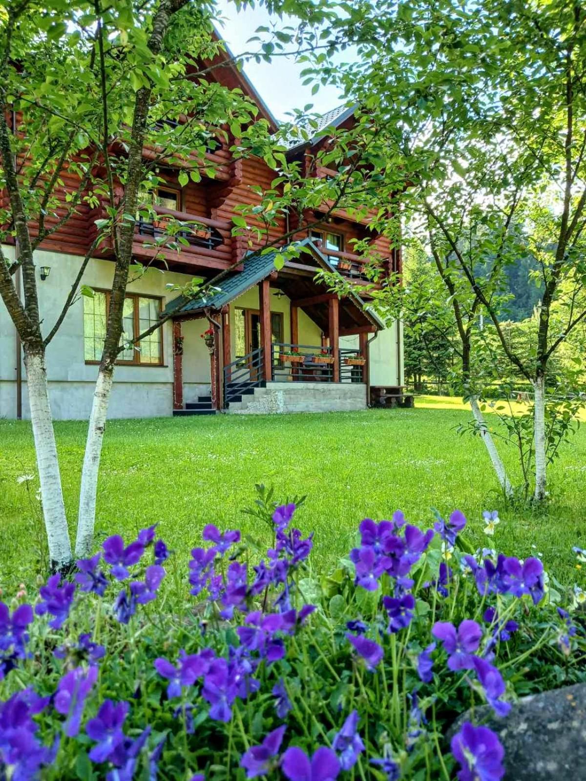 Photo 36
