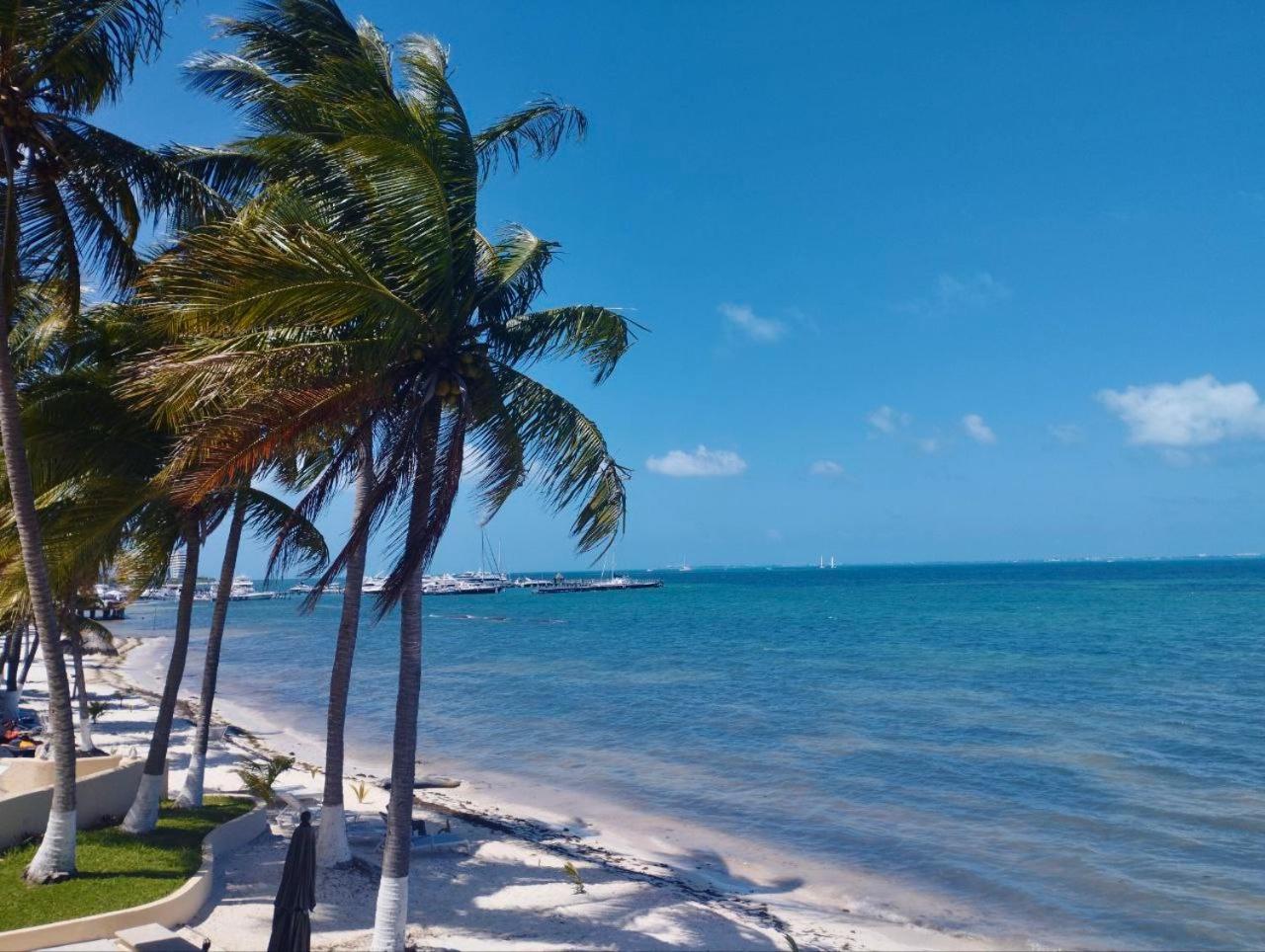 Ocean View PLAYA DEL NIÑO Rooms & Apartments