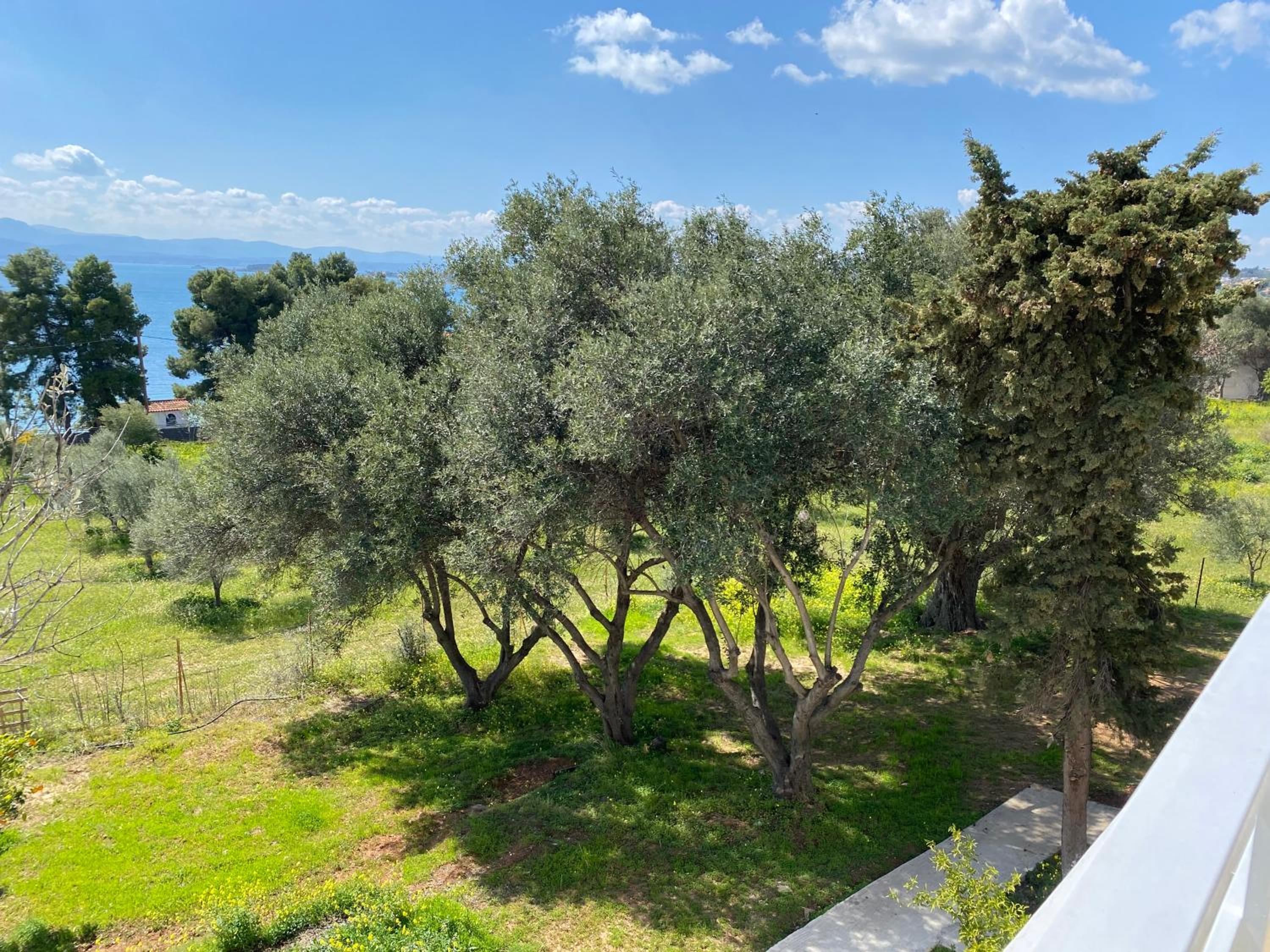 ALIDA Properties