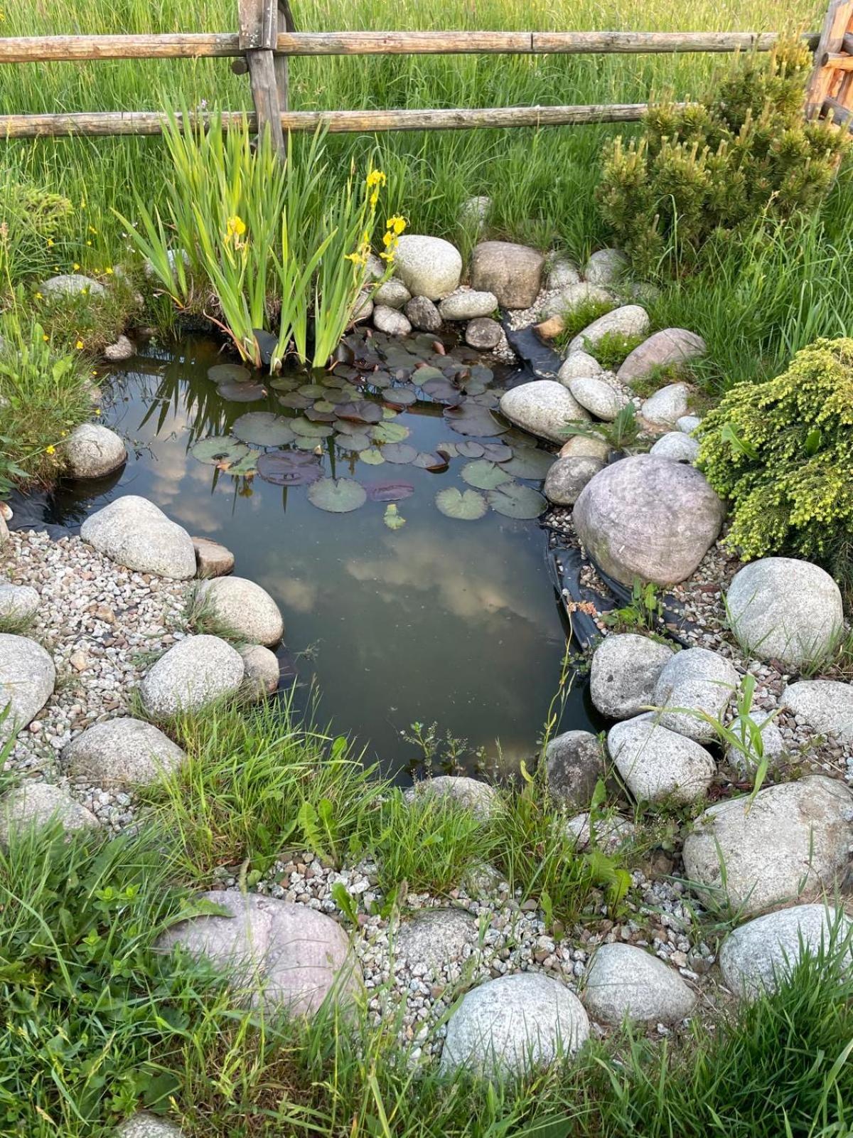 Photo 14