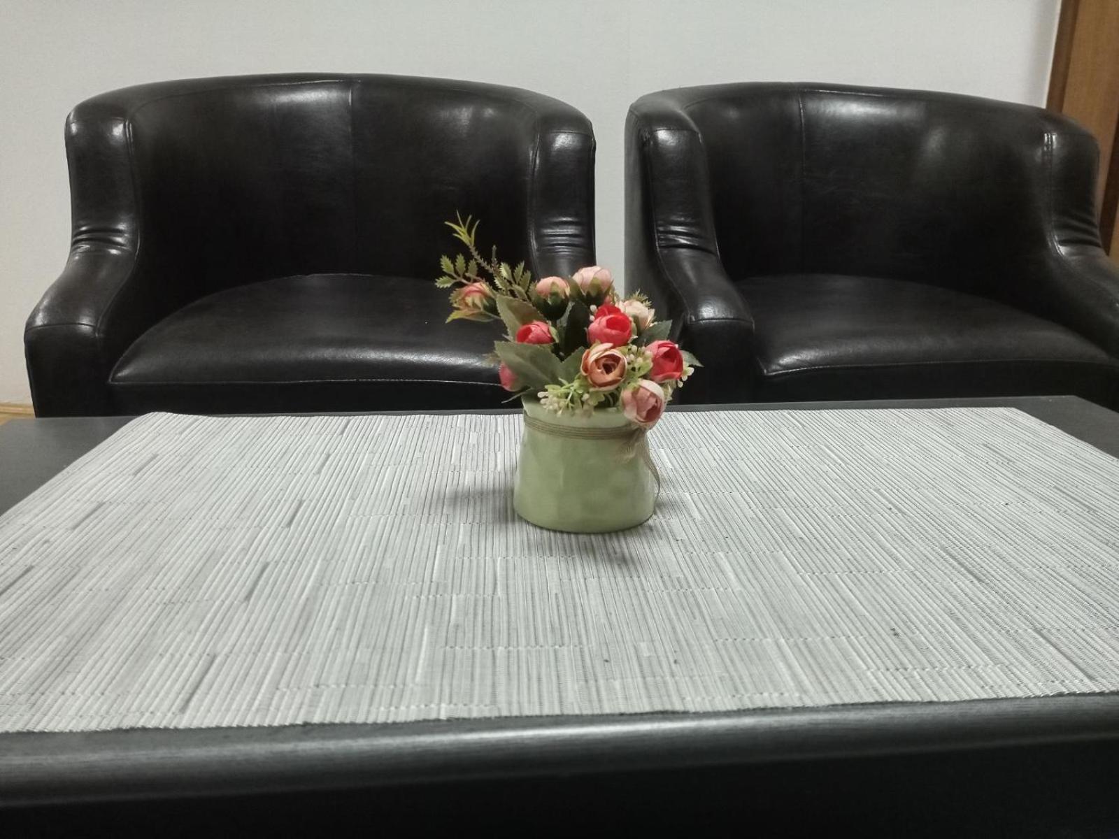 Apartman Mladenovic Center, free parking&wifi