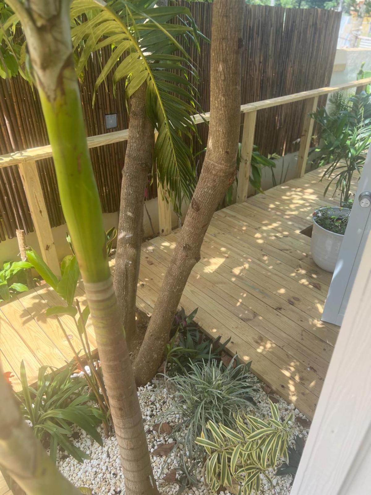 Bella Noni B&B