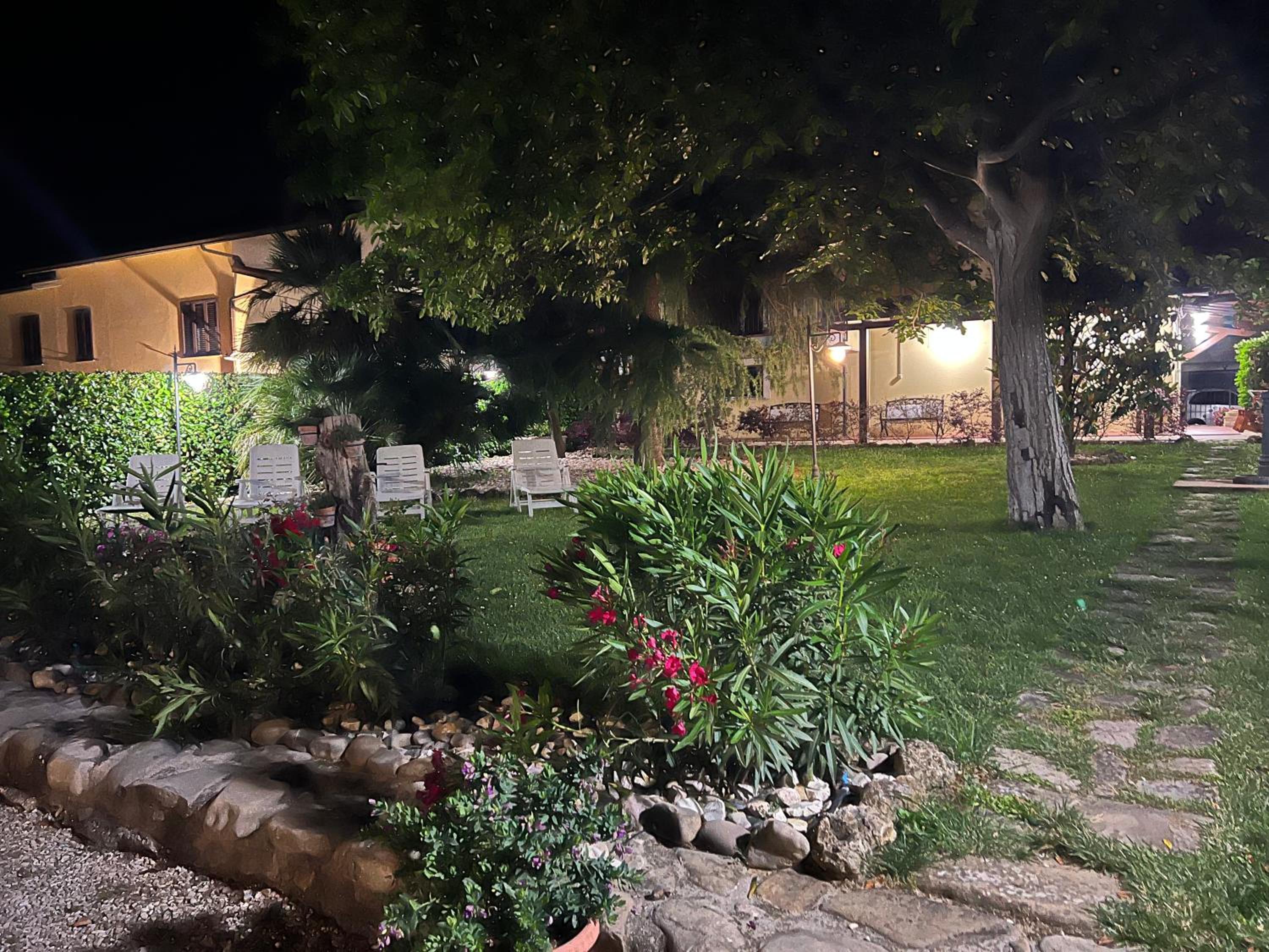 Photo 26
