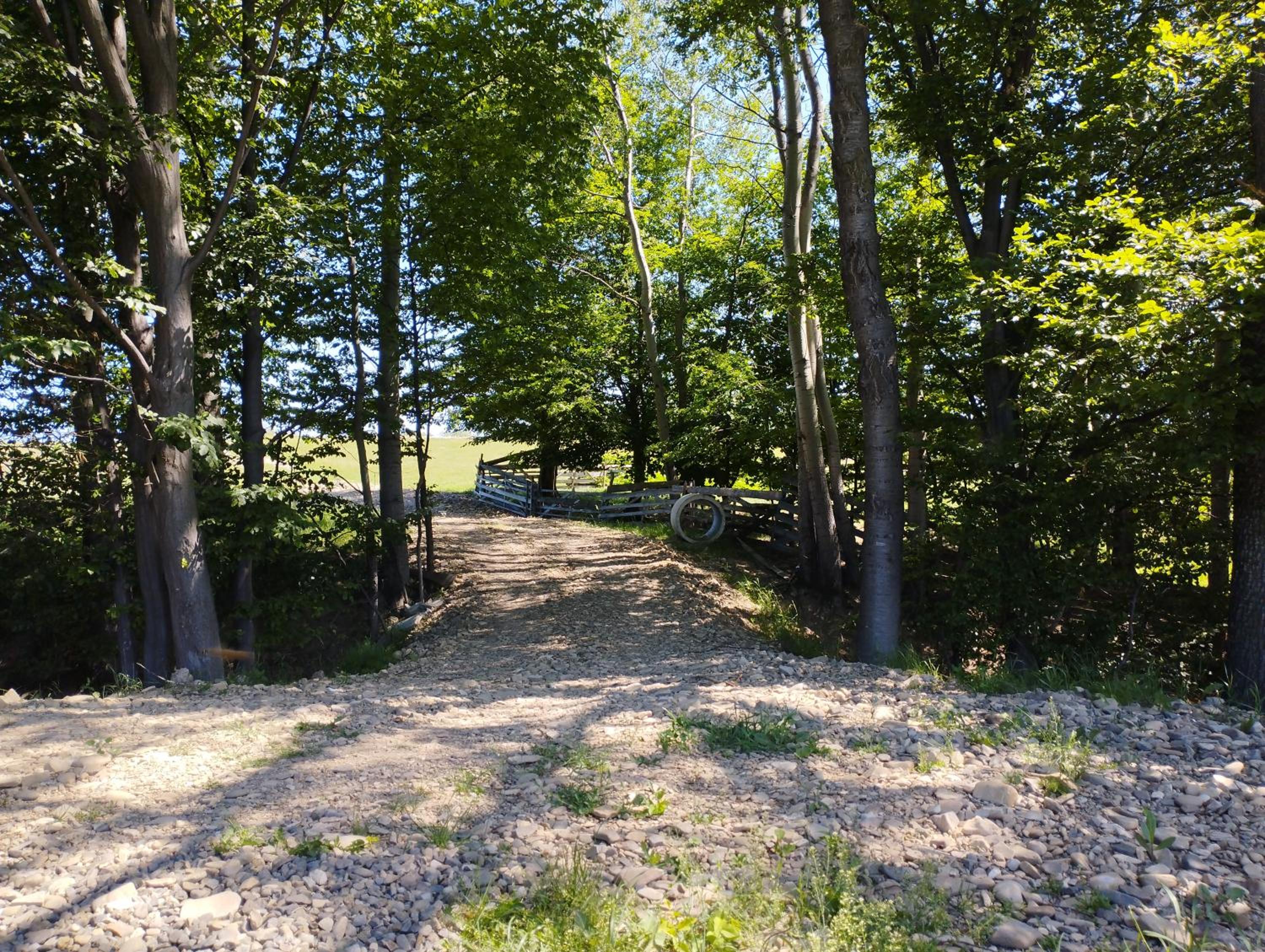 Photo 31