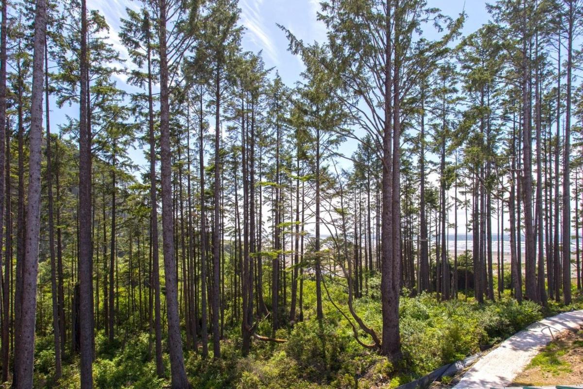 Into the Mystic by Seabrook Hospitality view 4