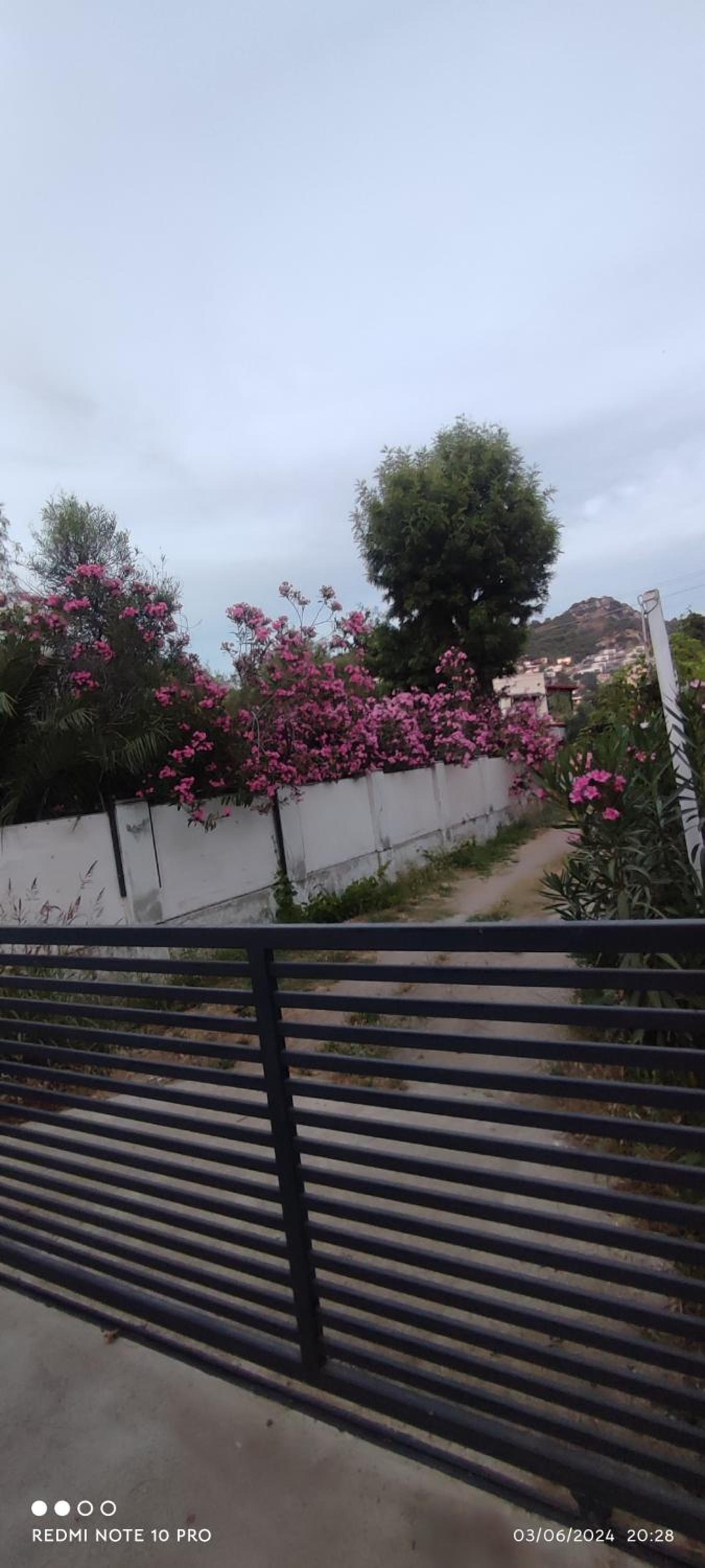 Villamuz