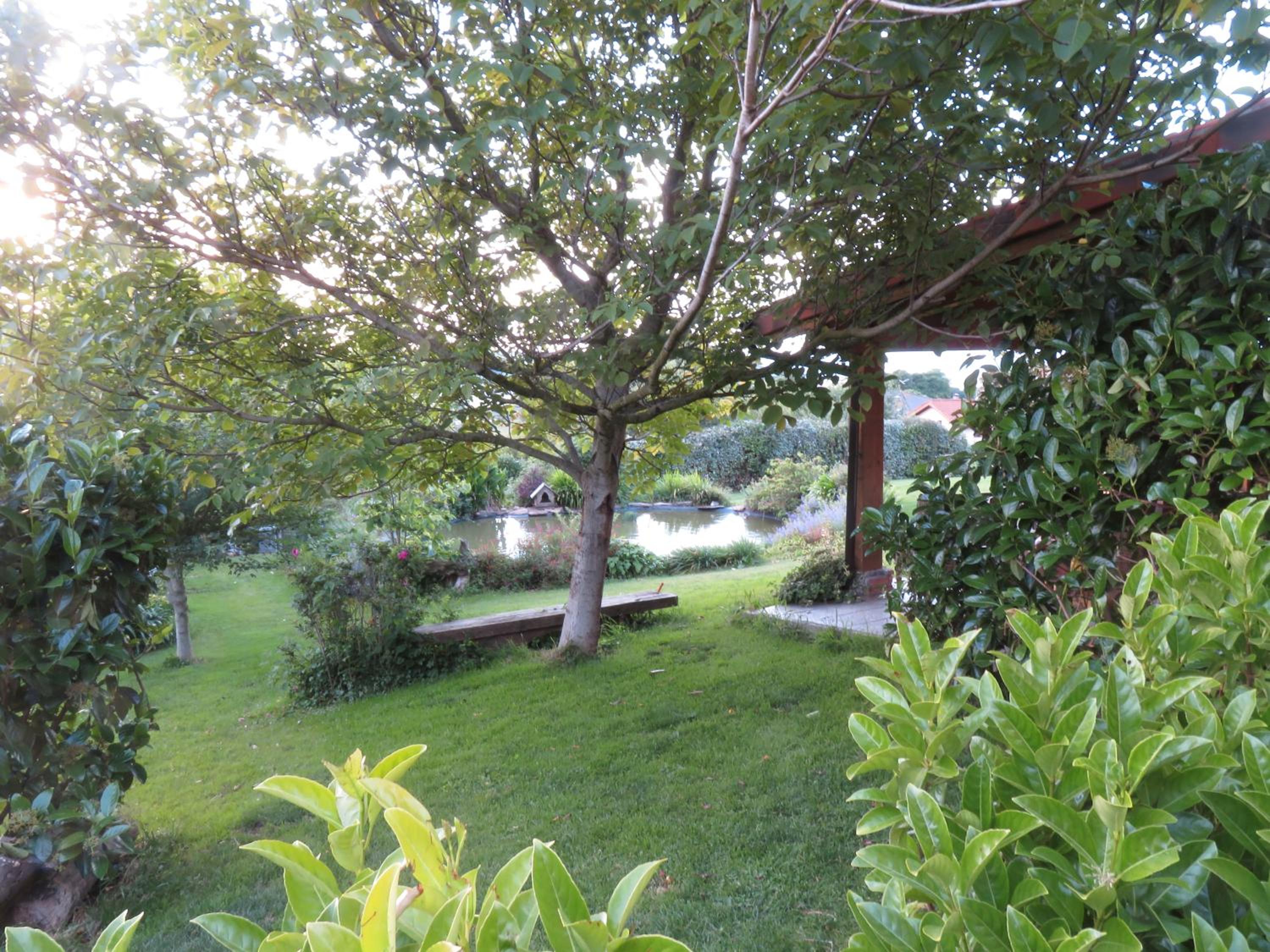 Photo 38