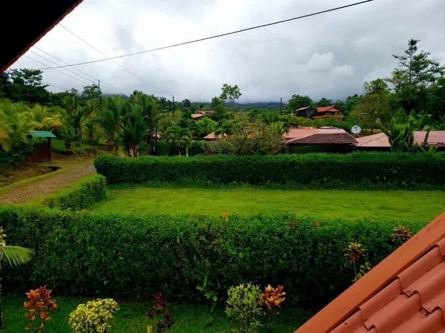 Oropéndola Rain Forest