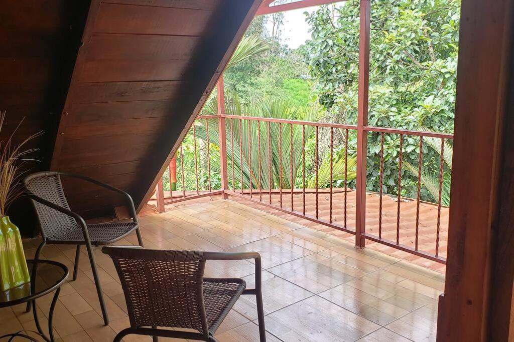 Oropéndola Rain Forest