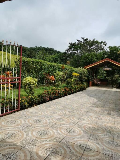 Oropéndola Rain Forest